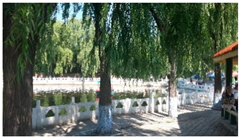 Sustainability 11 01572 i004 Sustainability 11 01572 i004