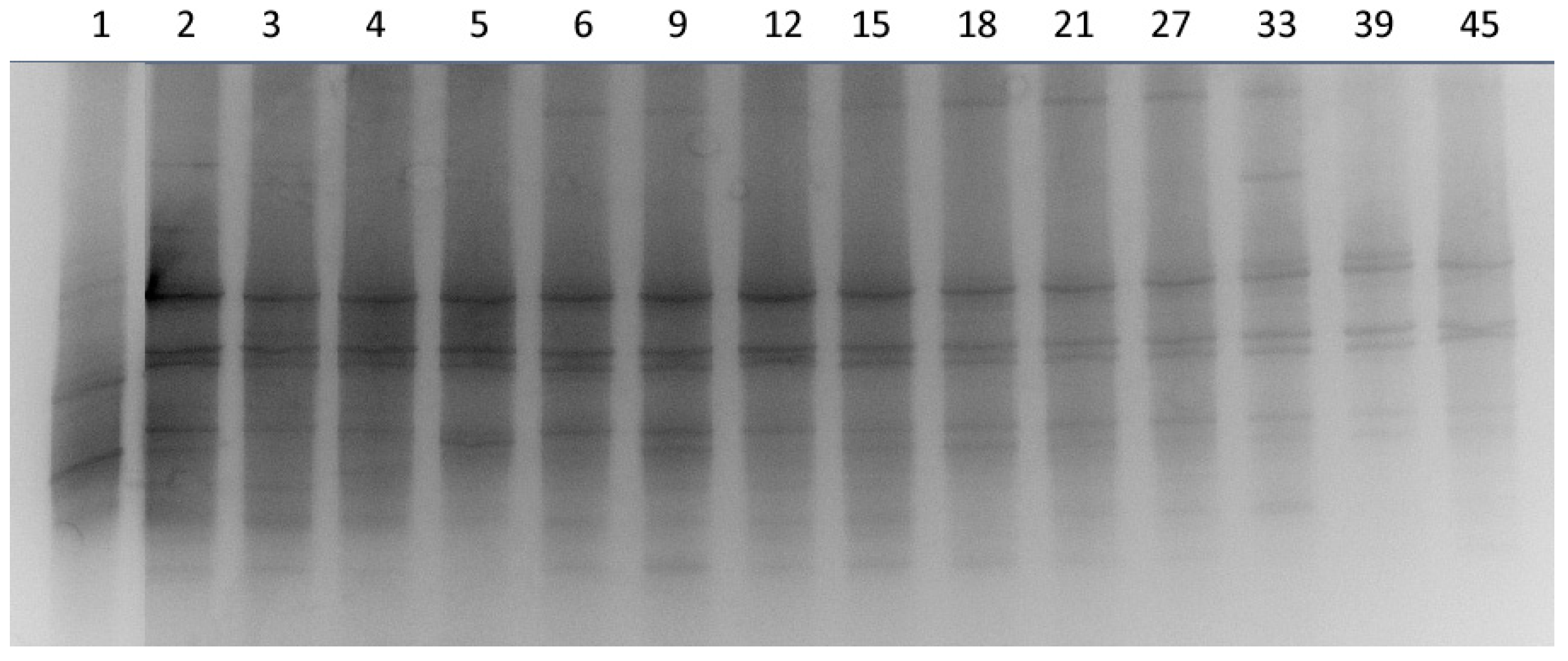 Sustainability 11 02229 g002