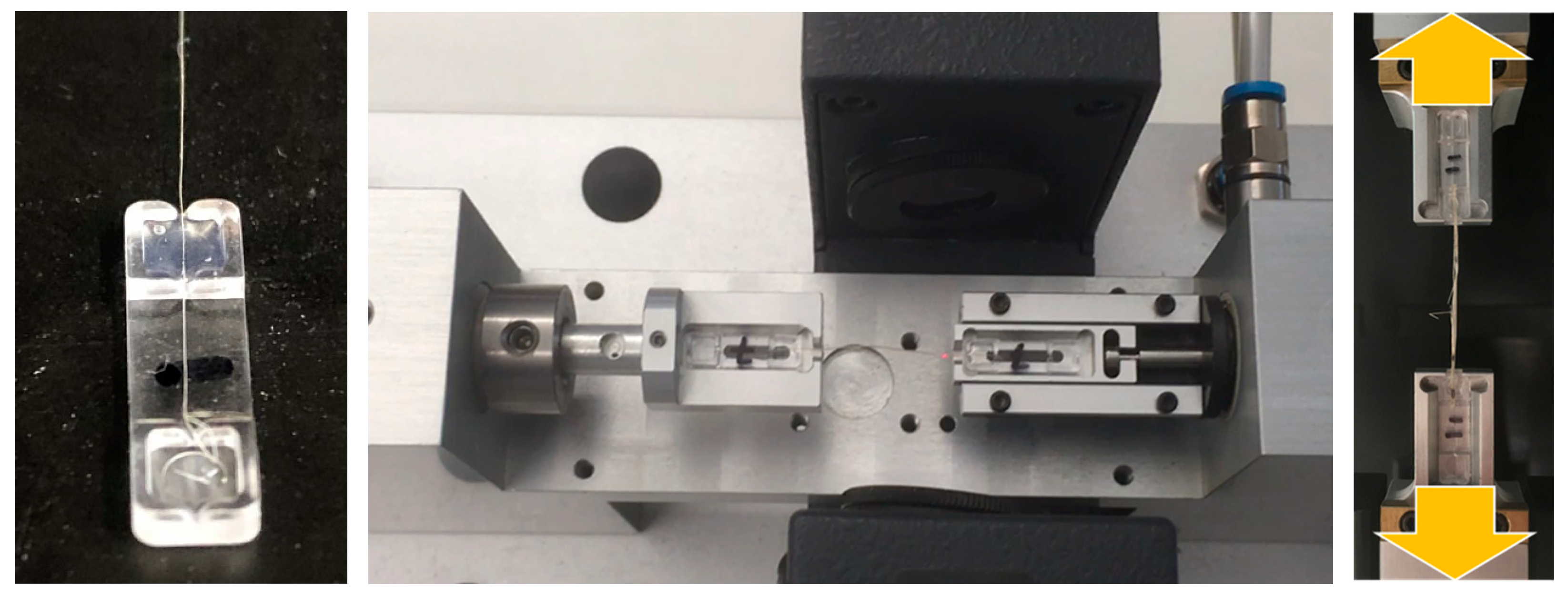 Sustainability 11 02655 g001