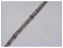 Sustainability 11 02655 i001