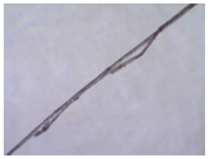 Sustainability 11 02655 i002