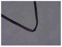 Sustainability 11 02655 i003