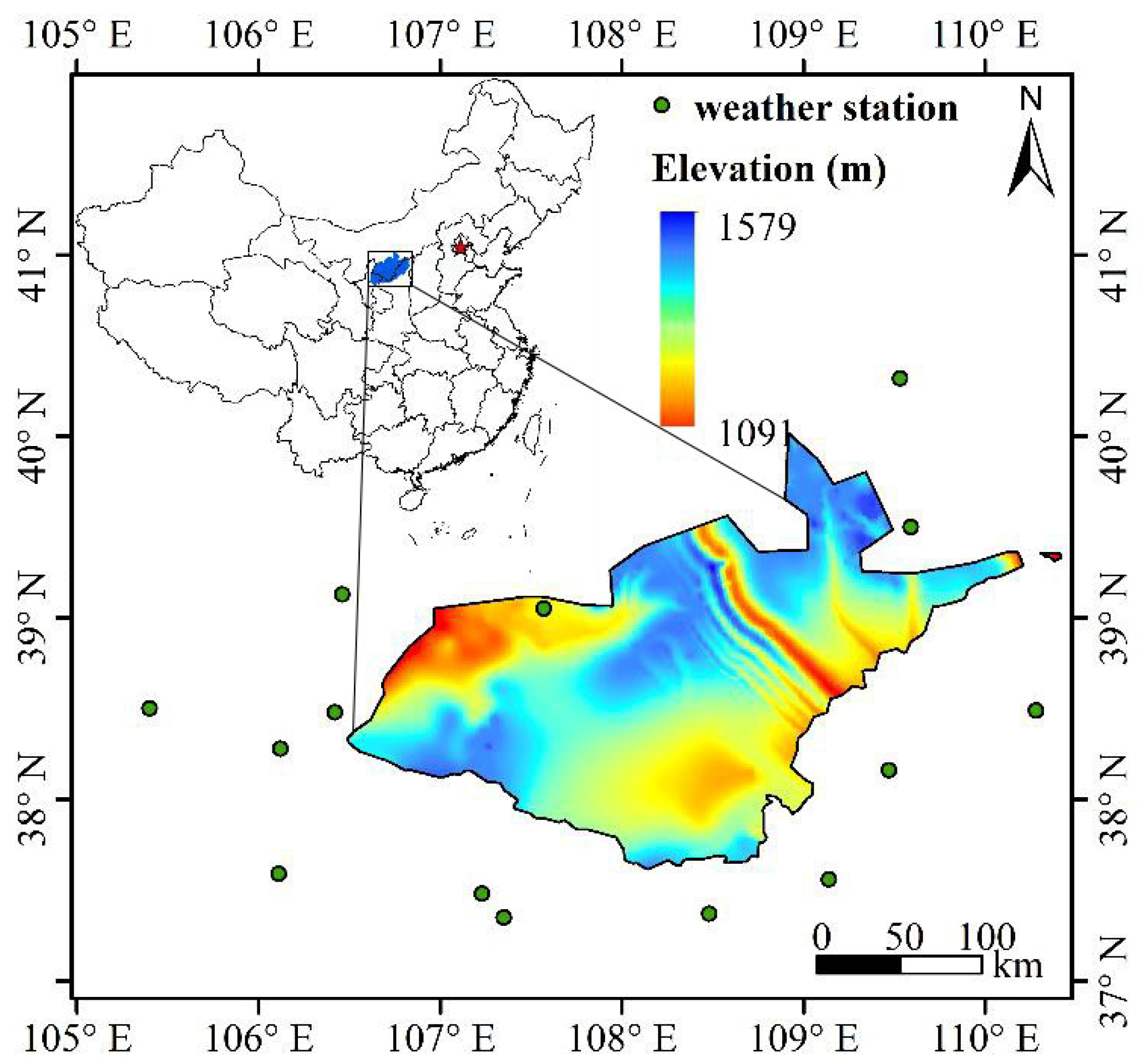 Area index. Vegetation Dynamics.