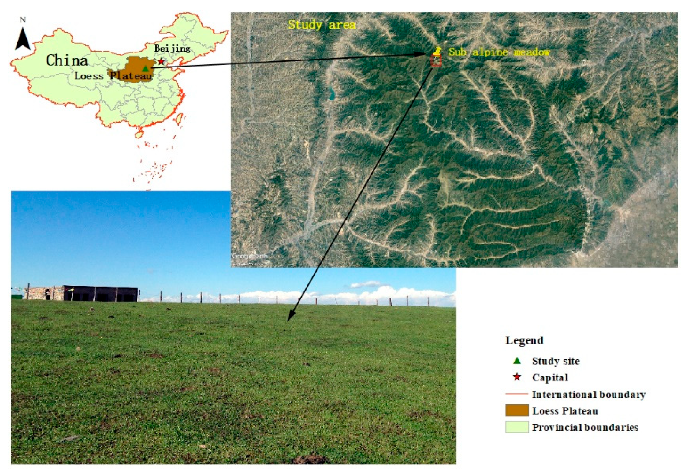 Sustainability 11 03274 g001