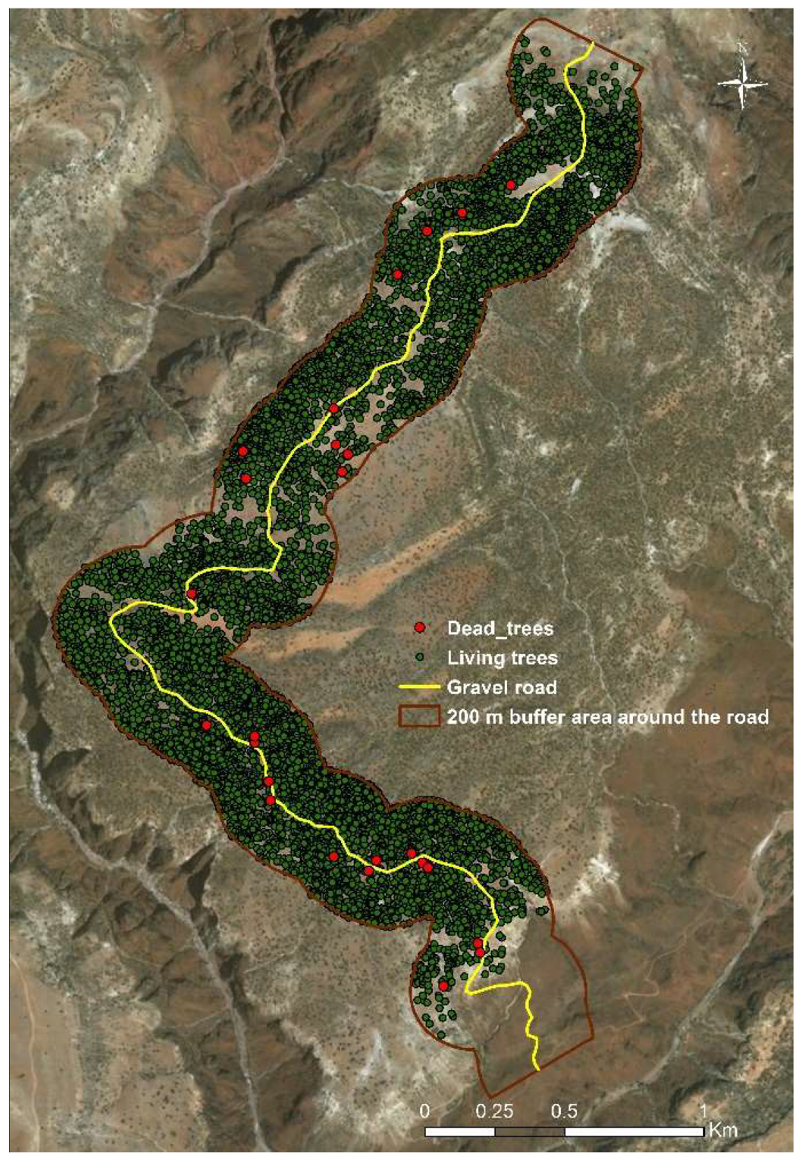 Sustainability Free Full Text Sustainable Land Use Management Needed To Conserve The Dragon S Blood Tree Of Socotra Island A Vulnerable Endemic Umbrella Species Html