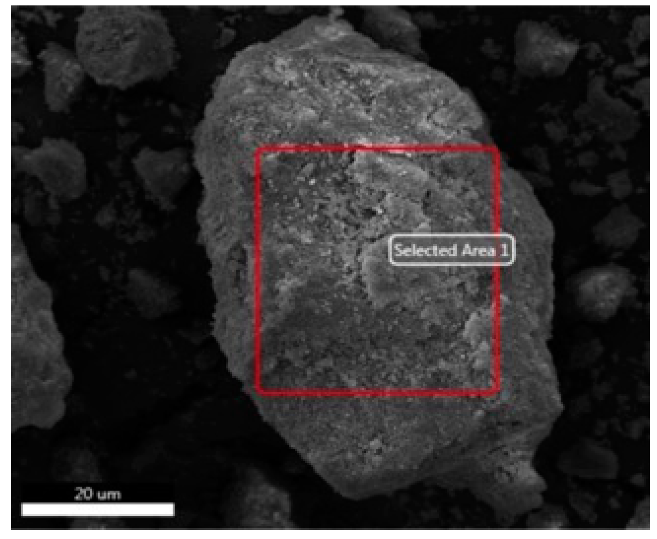 Sustainability 11 03576 g001