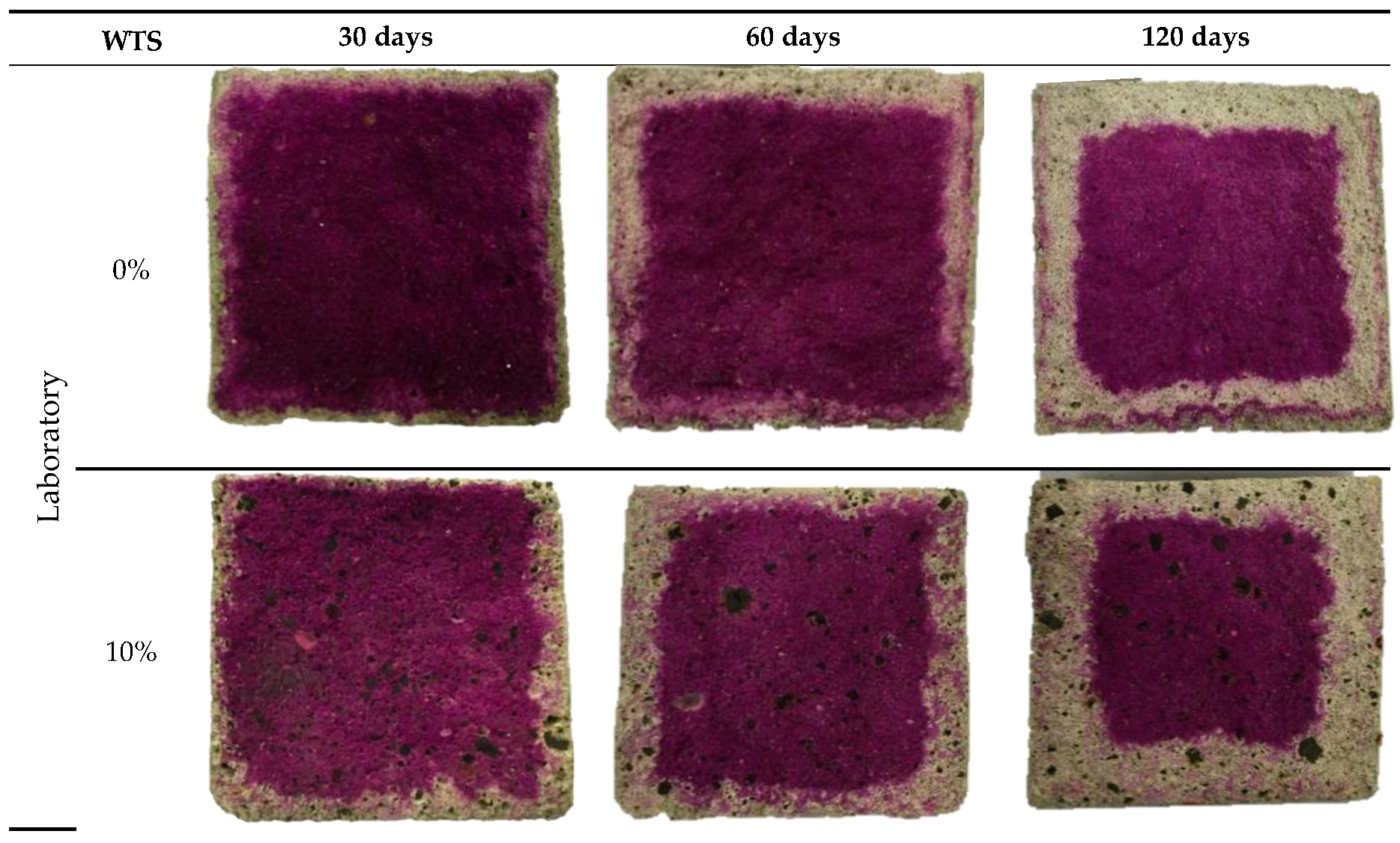 Sustainability 11 03576 g012a
