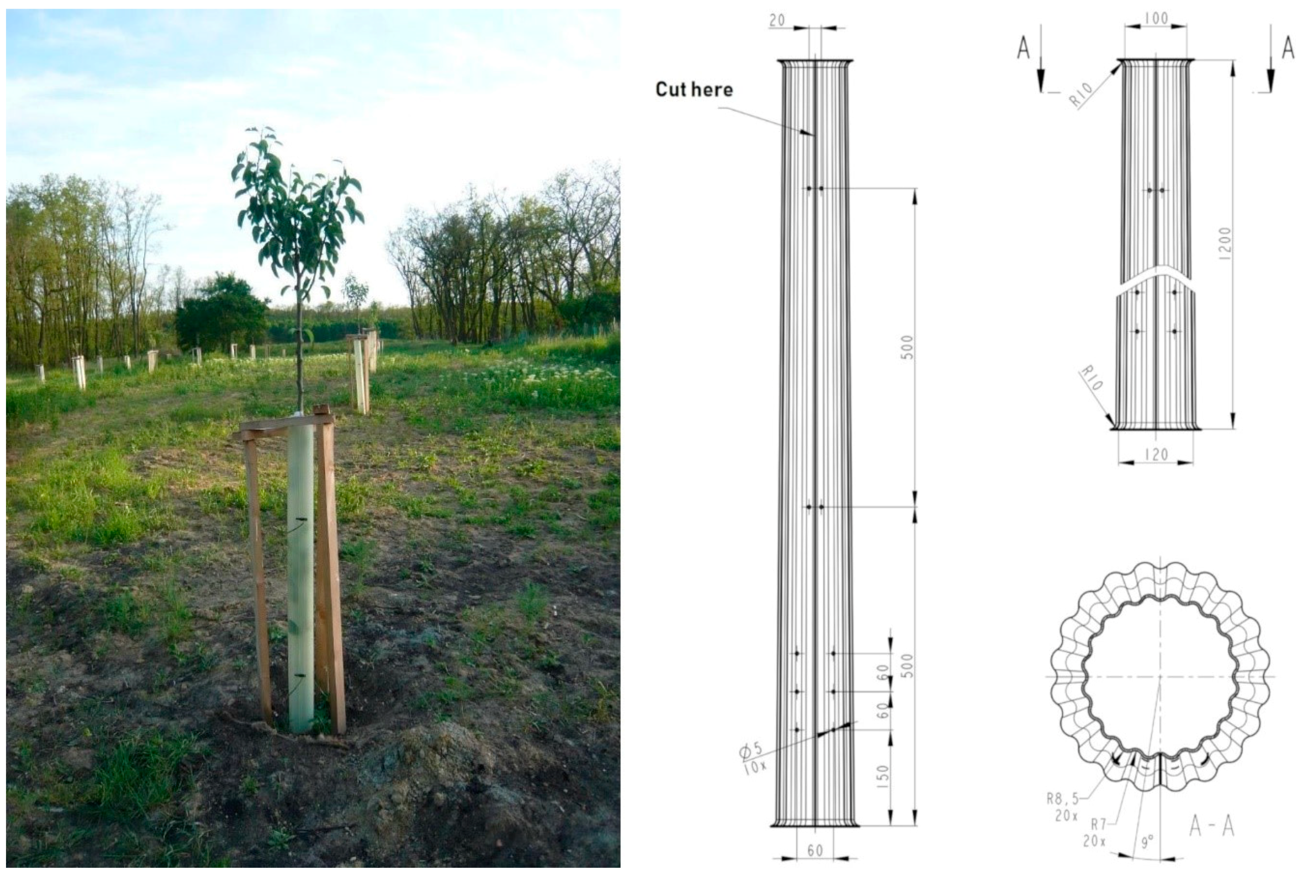 Sustainability | Free Full-Text | Extensive Orchards in the Agricultural  Landscape: Effective Protection against Fraying Damage Caused by Roe Deer |  HTML