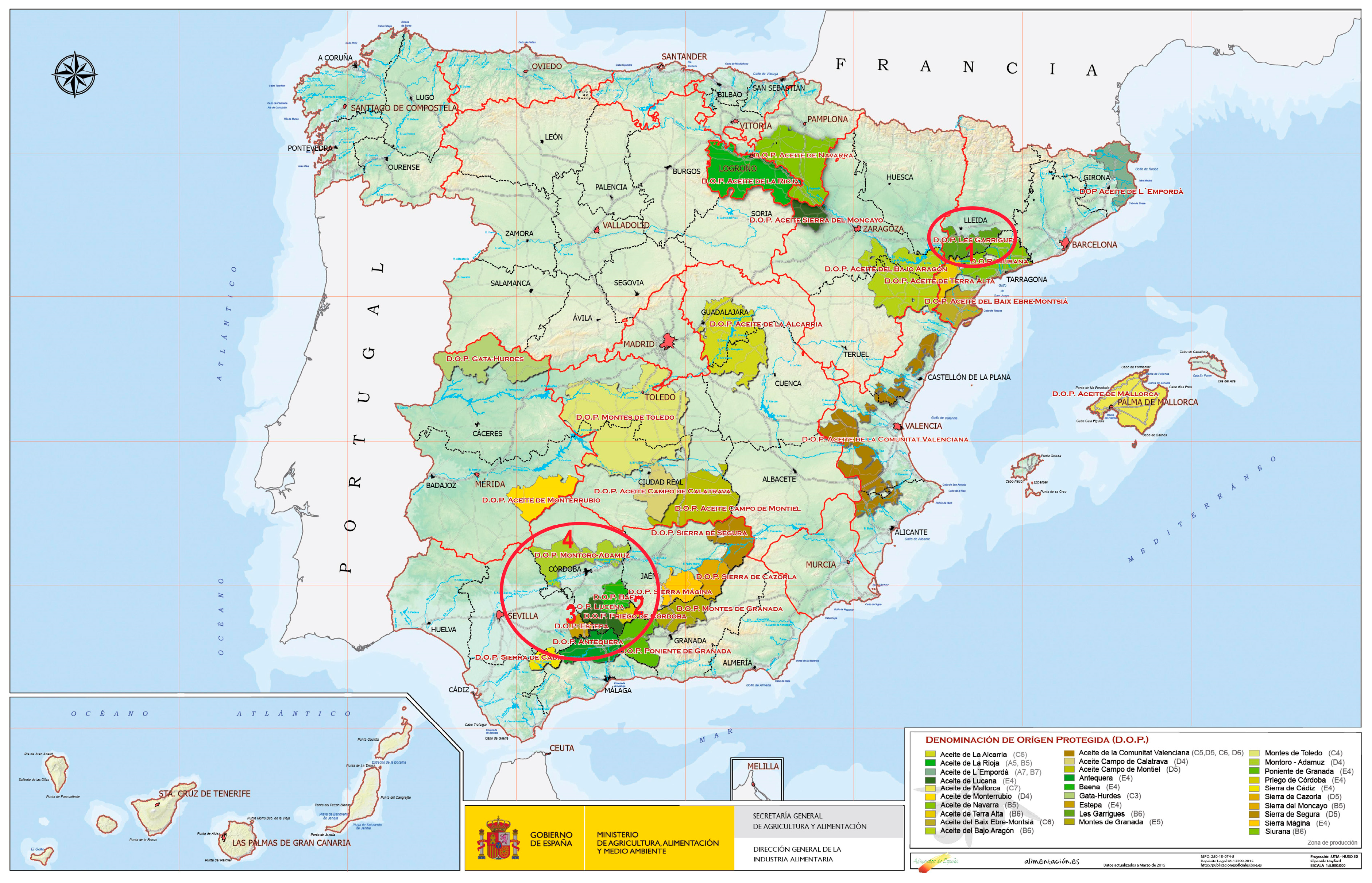 I maked my own Temerant Map (Spanish version) : r