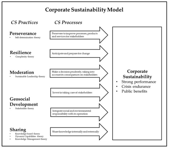 Sustainability | Free Full-Text | Achieving Corporate Sustainability:  Toward a Practical Theory | HTML