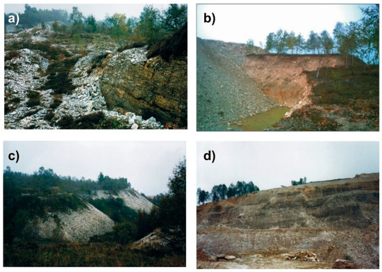 Sustainability | Free Full-Text | The Bargiolina, a Striking Historical  Stone from Monte Bracco (Piedmont, NW Italy) and a Possible Source of  Industrial Minerals