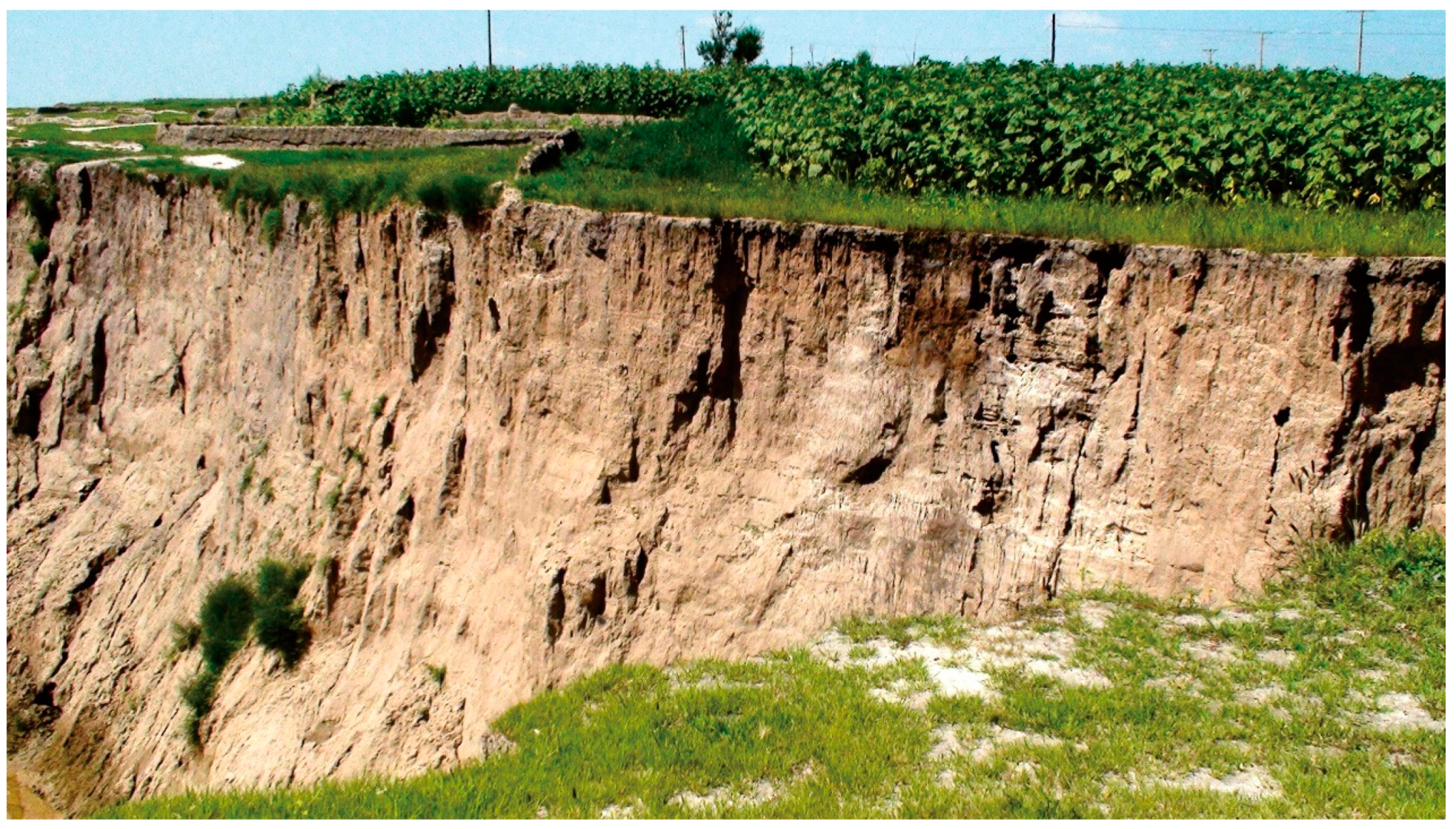 Sustainability 11 04709 g002 Sustainability 11 04709 g002