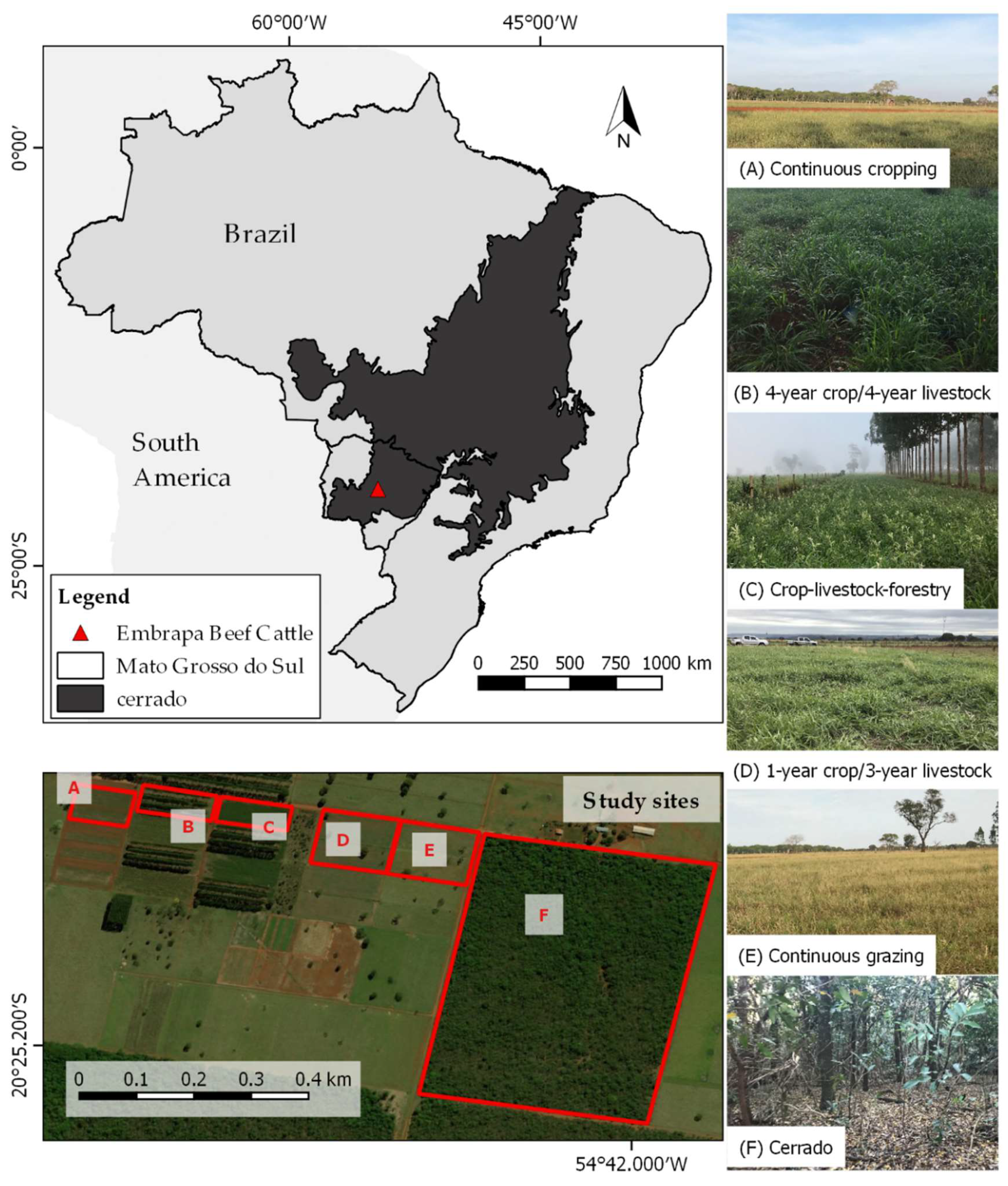 Sustainability | Free Full-Text | Effects of Long-Term Crop-Livestock-Forestry  Systems on Soil Erosion and Water Infiltration in a Brazilian Cerrado Site