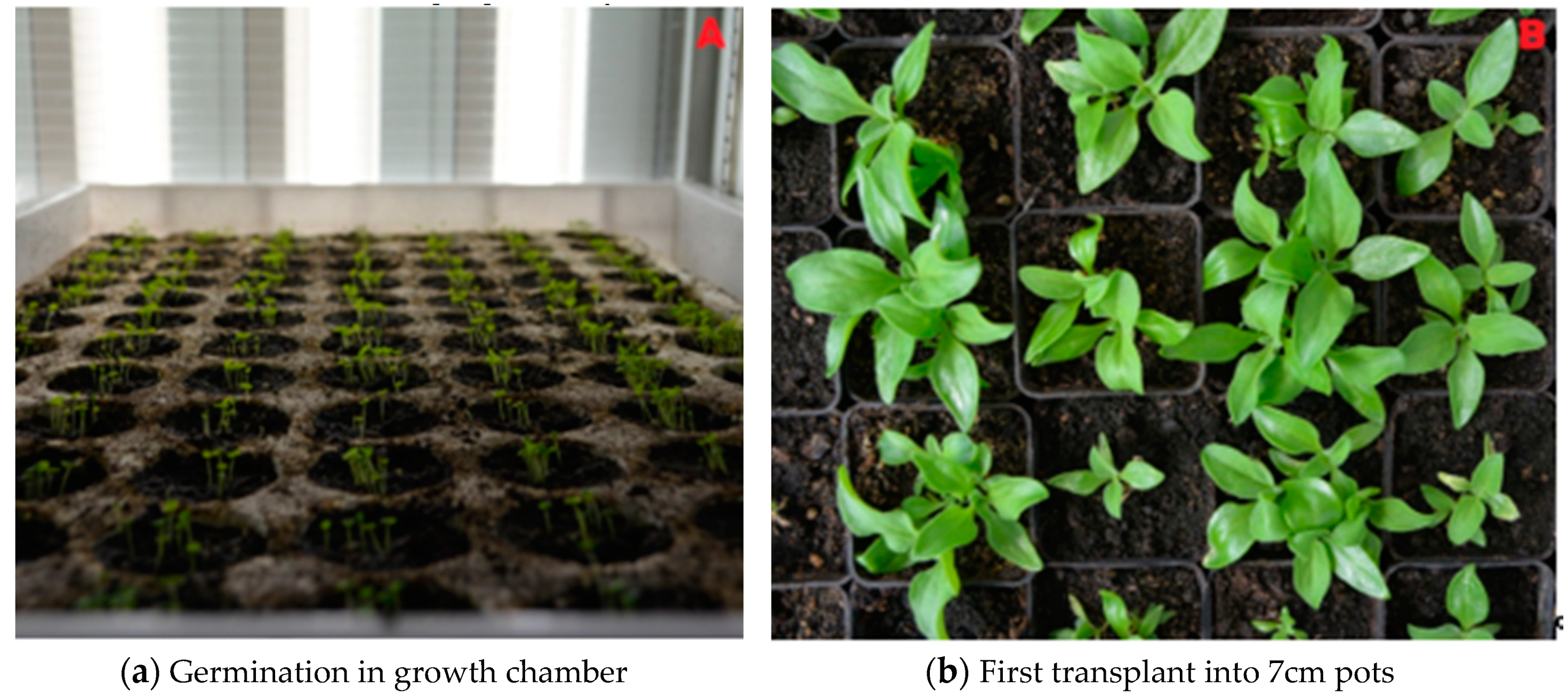 Sustainability 11 06076 g004 Sustainability 11 06076 g004