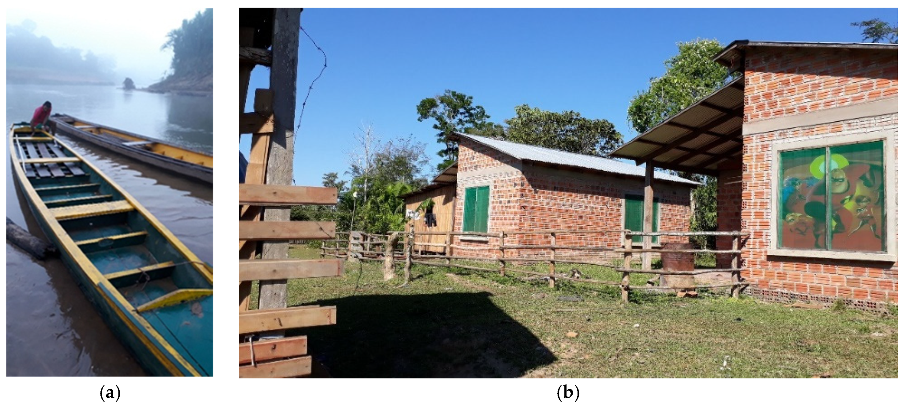 Sustainability | Free Full-Text | Indigenous Knowledge Systems and  Conservation of Settled Territories in the Bolivian Amazon | HTML
