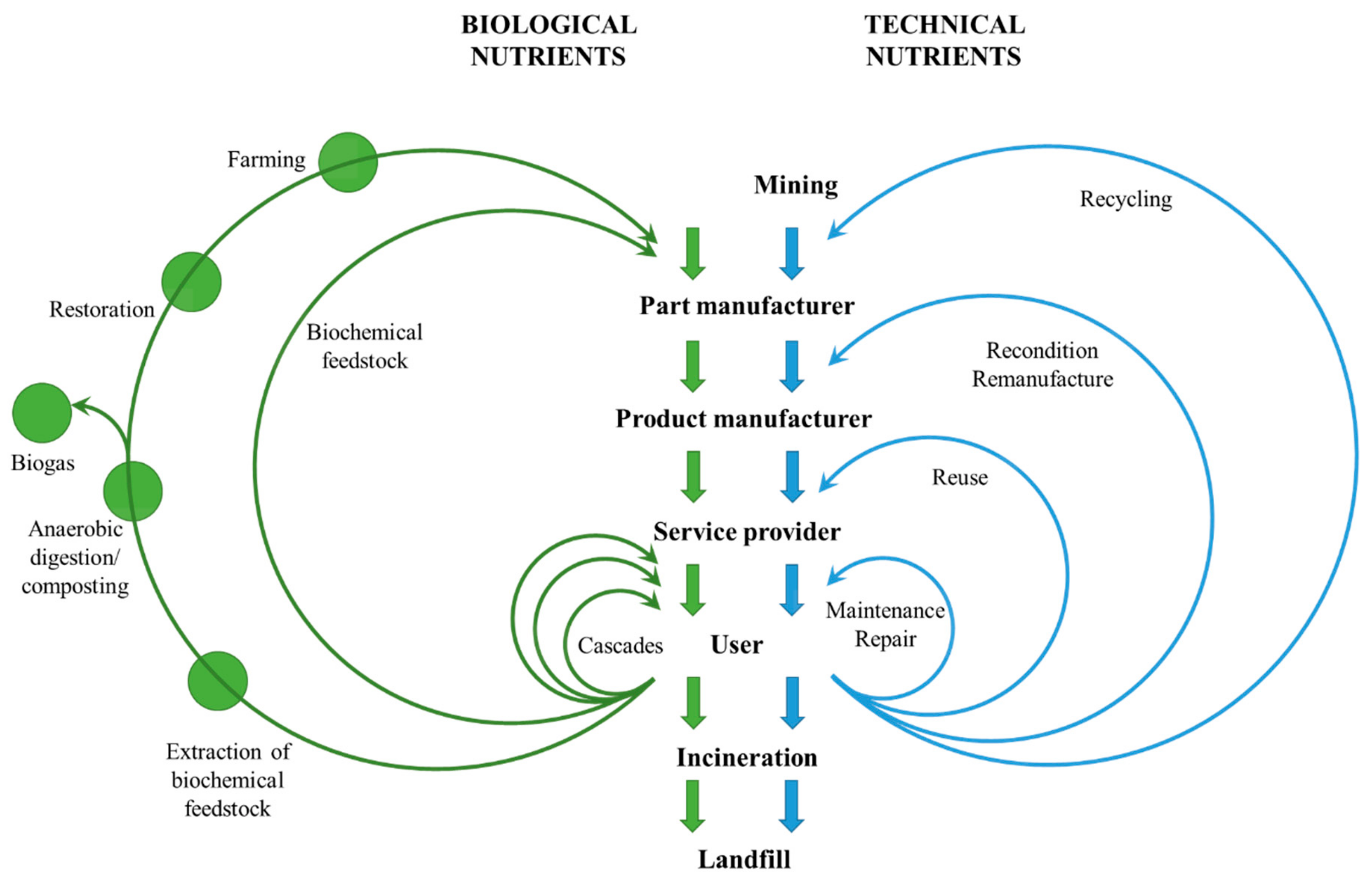 Sustainability Free Full Text Overcoming The Main Barriers Of Circular Economy