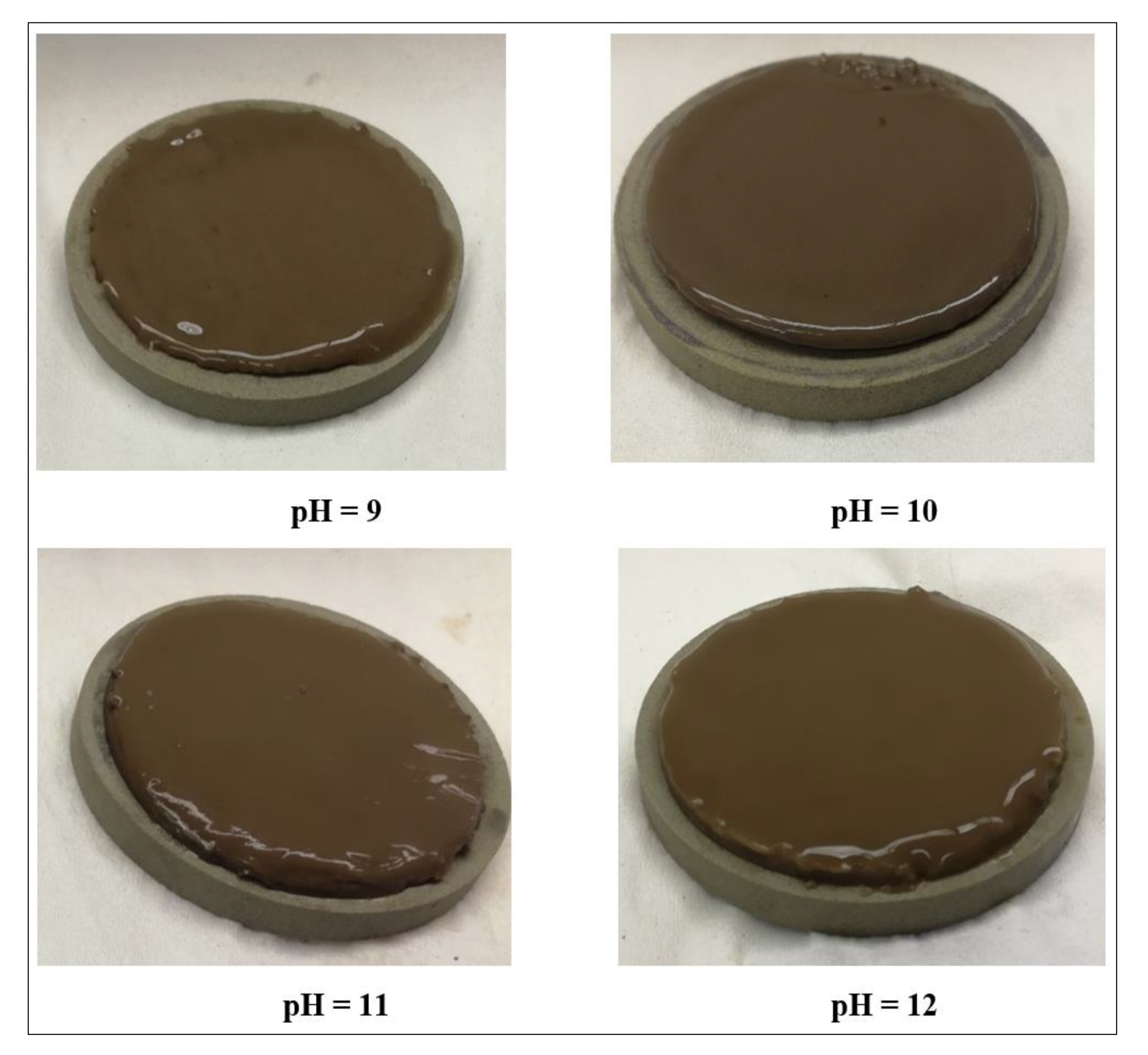 Sustainability 11 06714 g010