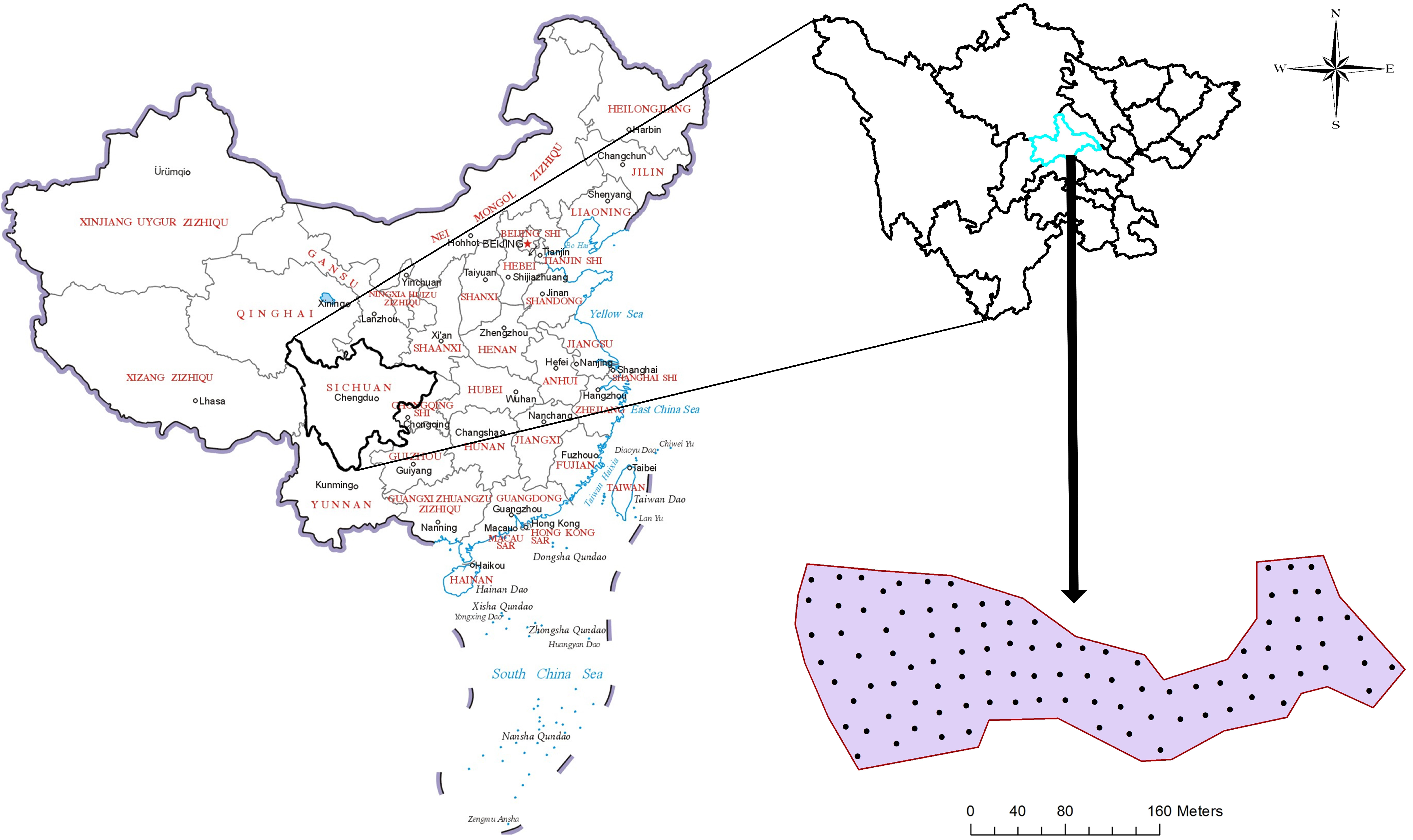 Sustainability 11 07084 g001