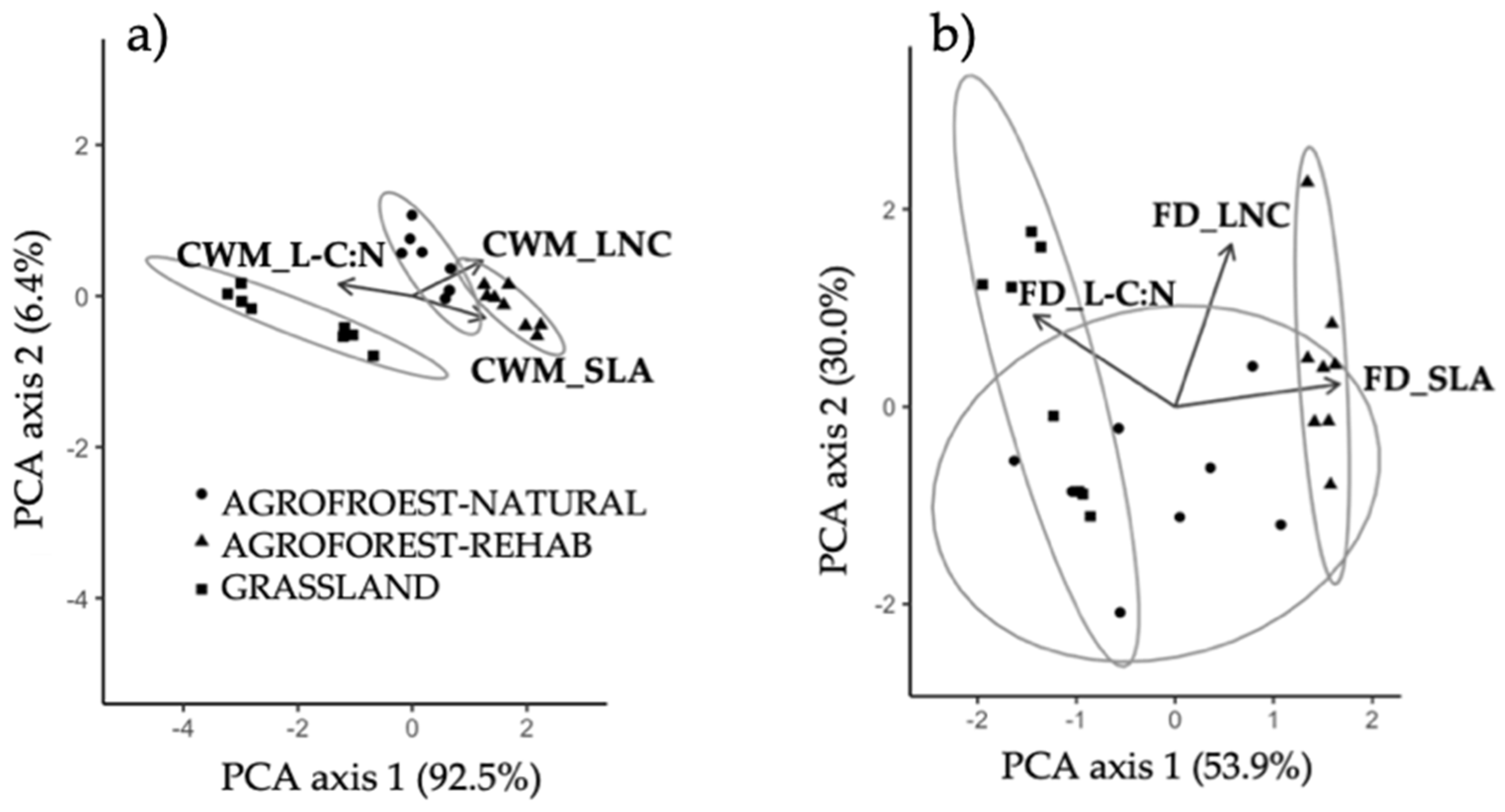 Sustainability Free Full Text Plant Diversity And Agroecosystem Function In Riparian Agroforests Providing Ecosystem Services And Land Use Transition Html