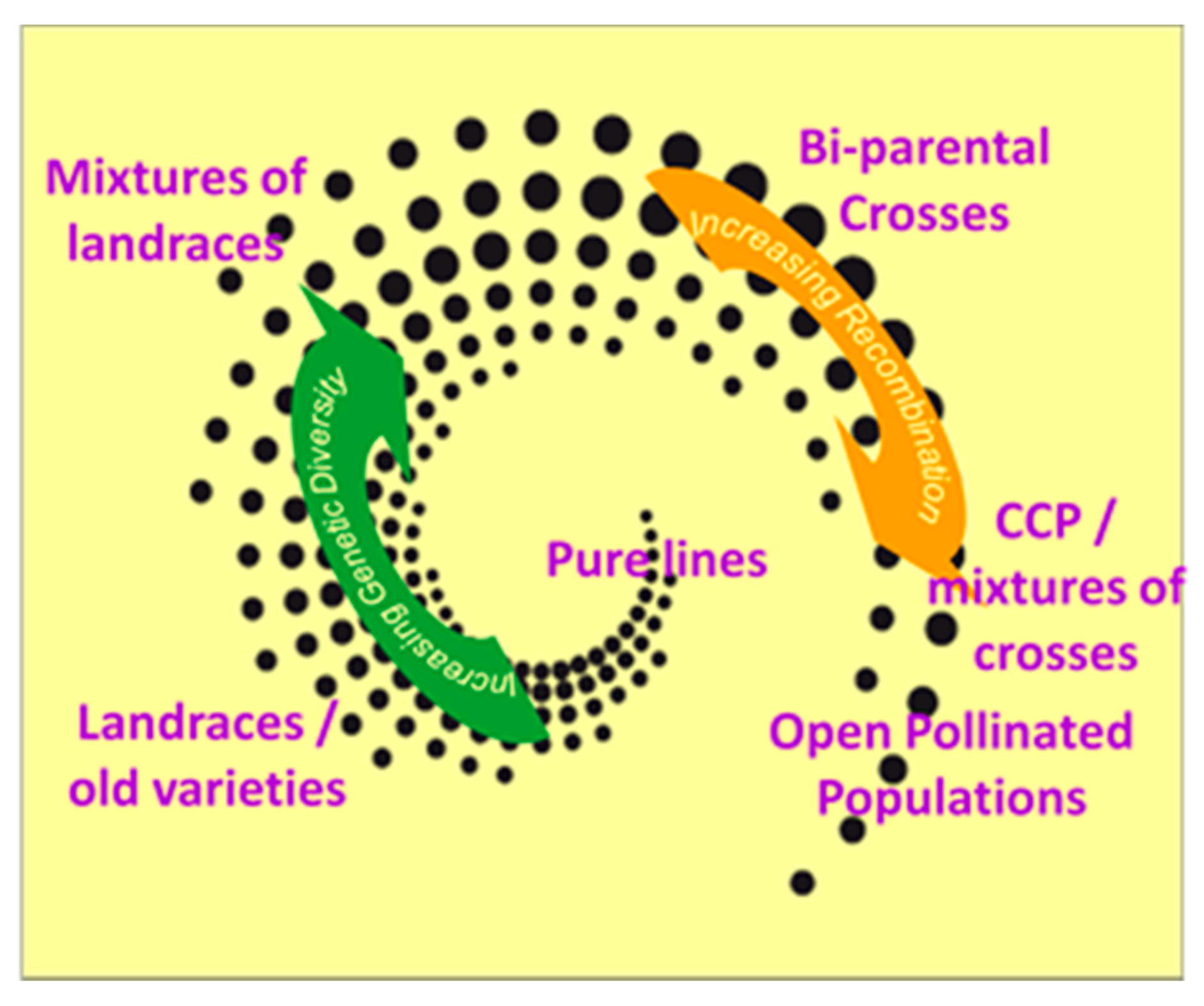 Sustainability Free Full Text Embedding Cultivated Diversity