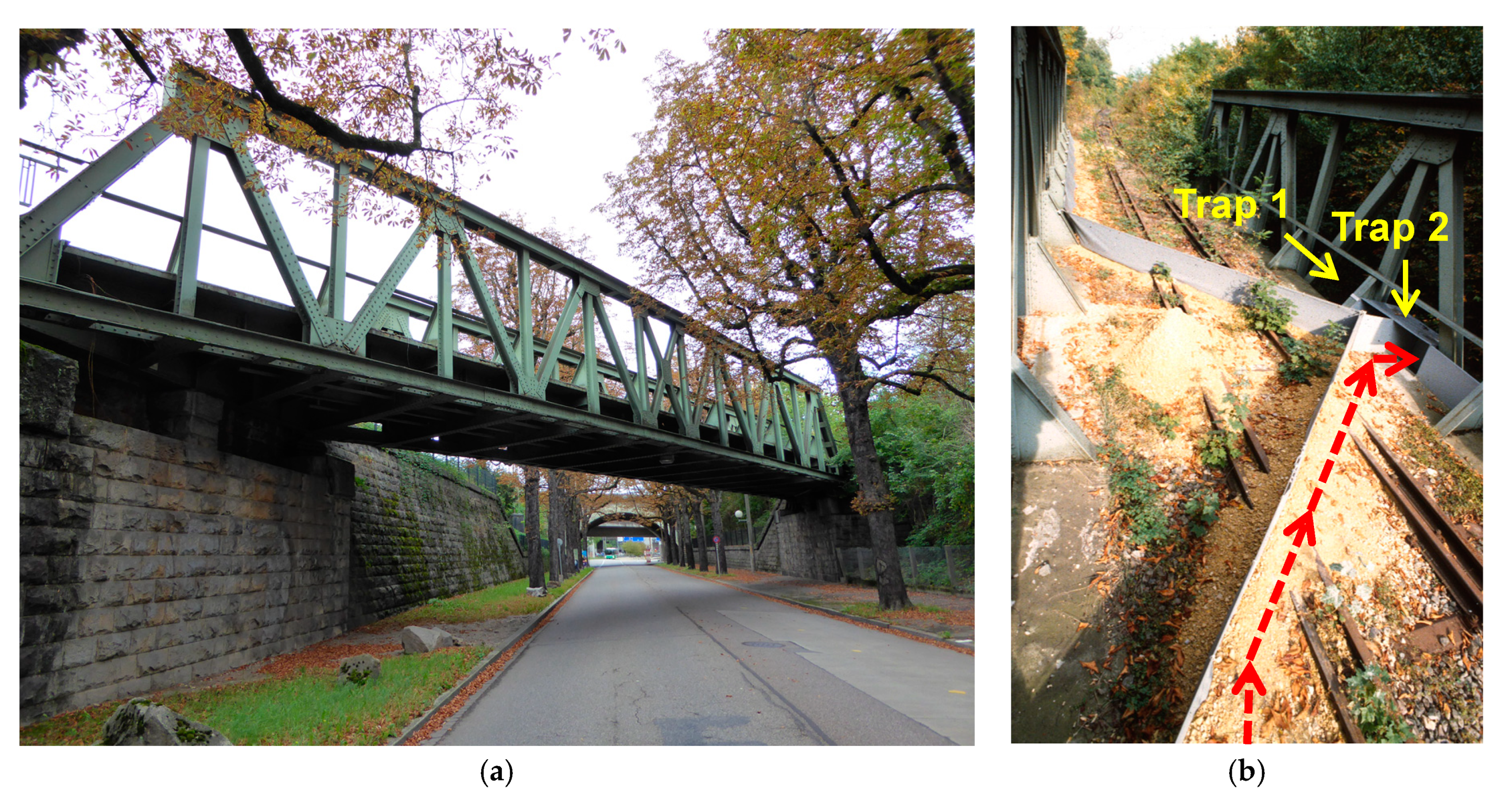 Sustainability Free Full Text The Function Of A Set Aside Railway Bridge In Connecting Urban Habitats For Animals A Case Study