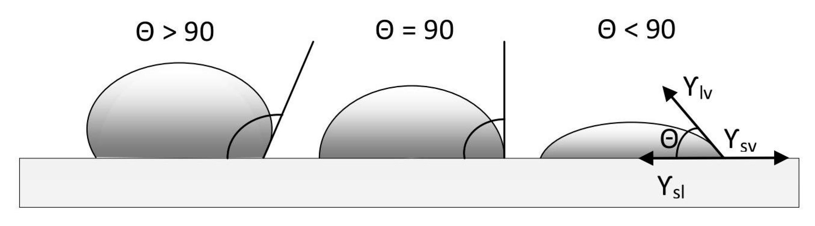 Sustainability 12 01311 g002