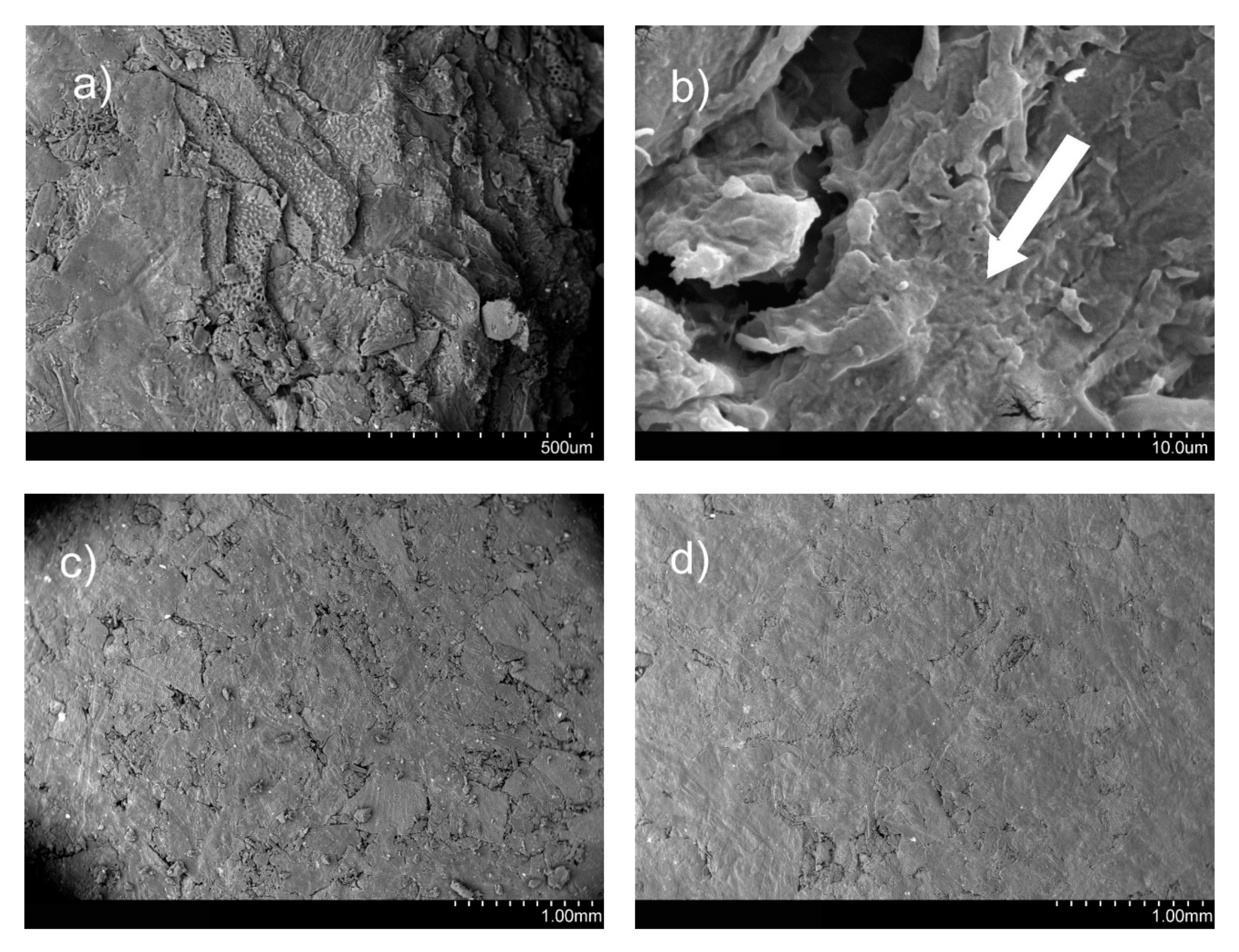 Sustainability 12 01311 g004