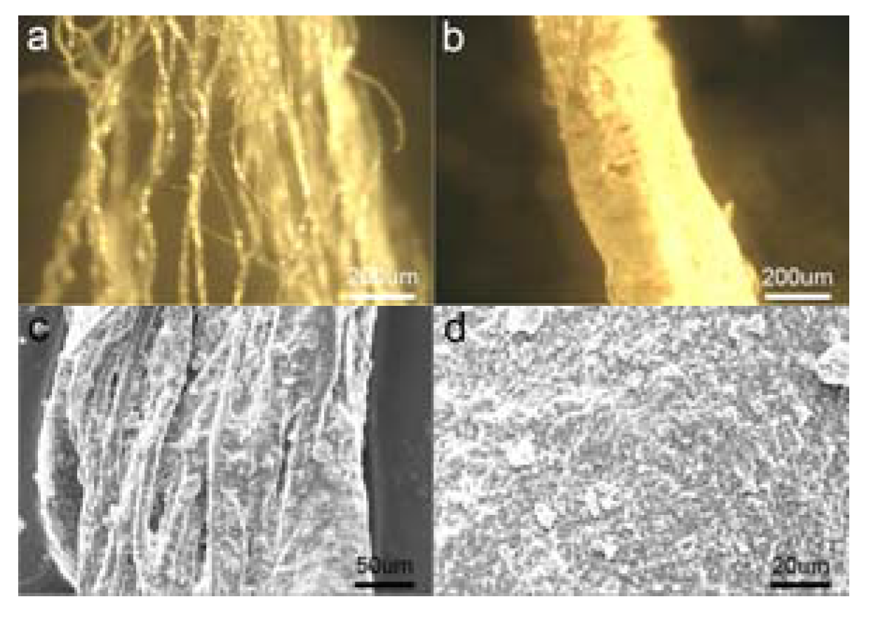Sustainability 12 01547 g006 Sustainability 12 01547 g006