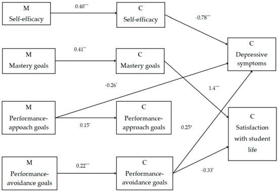 Sustainability Free Full Text Children S And Mothers Achievement Goal Orientations And Self Efficacy Dyadic Contributions To Students Well Being Html