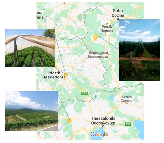 Sustainability | Free Full-Text | Life Cycle Analysis in the Framework of  Agricultural Strategic Development Planning in the Balkan Region