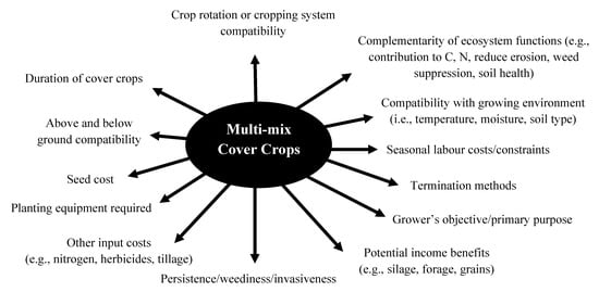 Sustainability Free Full Text The Potential Of Multi Species Mixtures To Diversify Cover Crop Benefits Html
