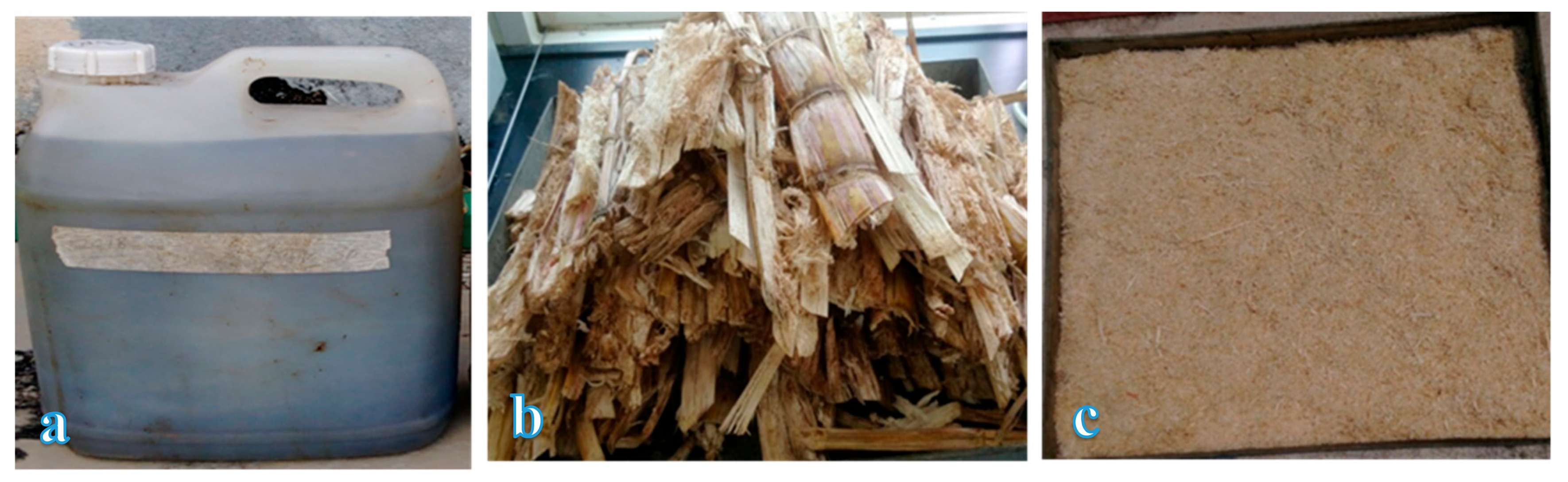 Sustainability 12 02116 g001