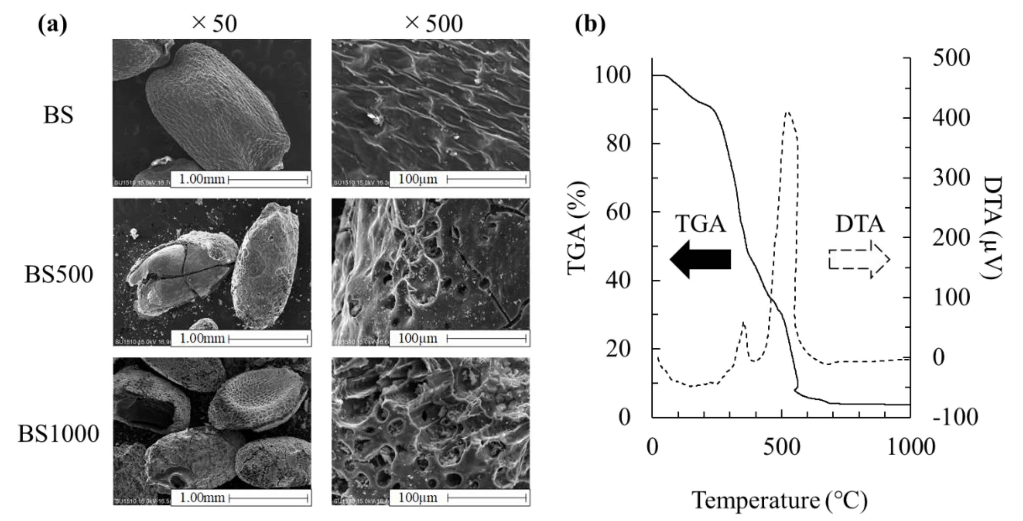 Sustainability 12 02895 g001