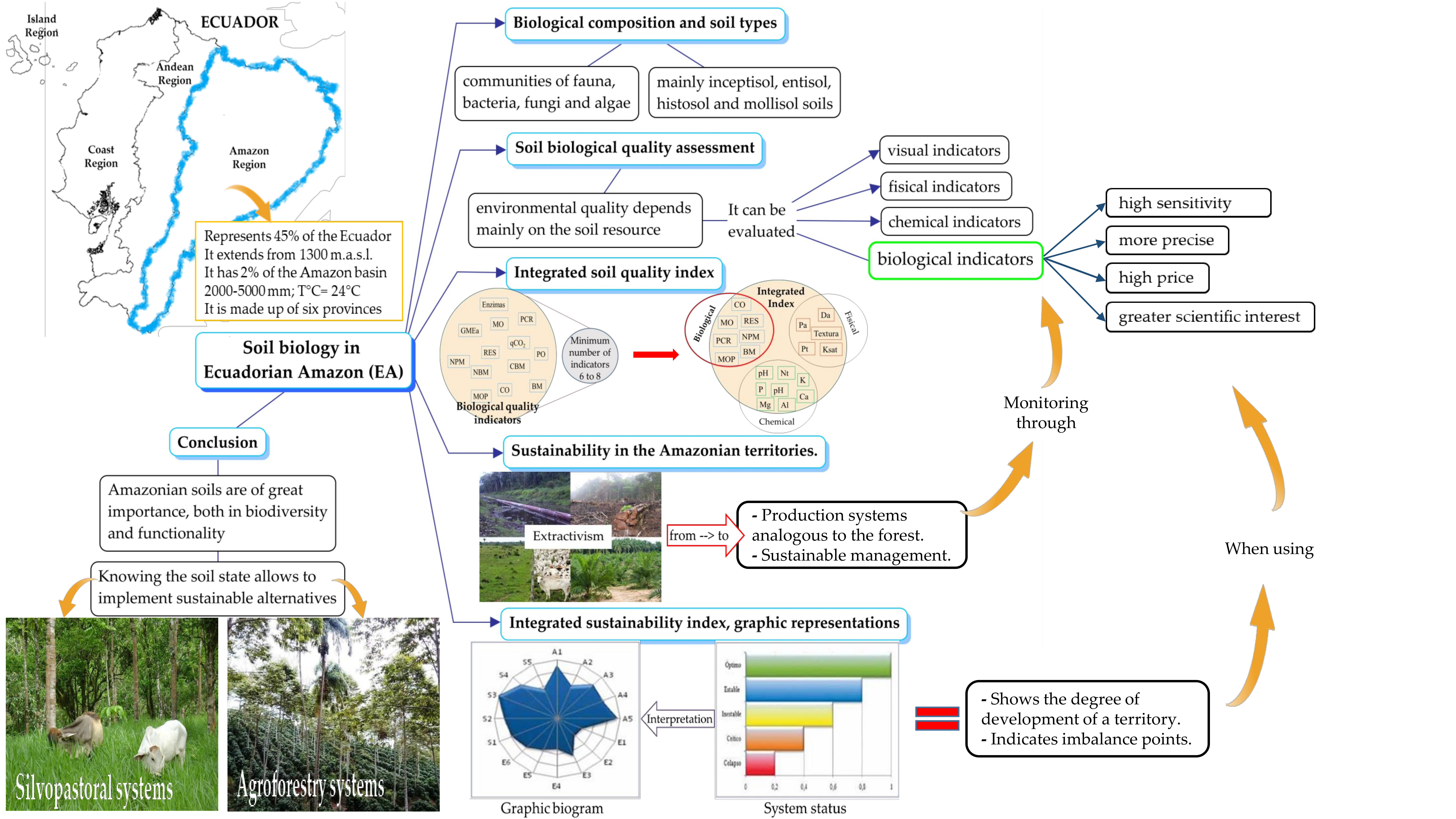 Sustainability Free Full Text A Framework To Incorporate Biological Soil Quality Indicators Into Assessing The Sustainability Of Territories In The Ecuadorian Amazon Html
