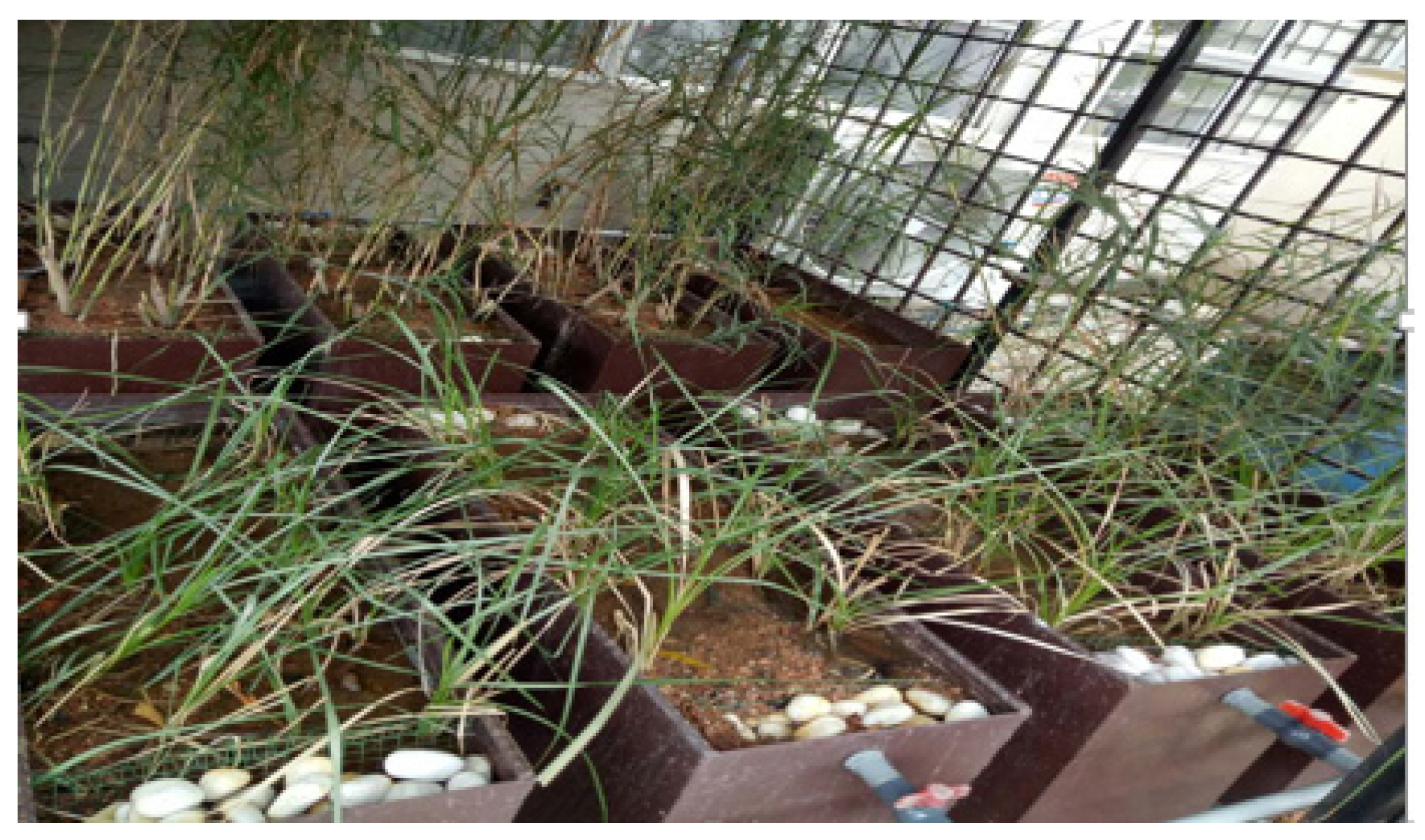 Sustainability 12 03357 g002 Sustainability 12 03357 g002