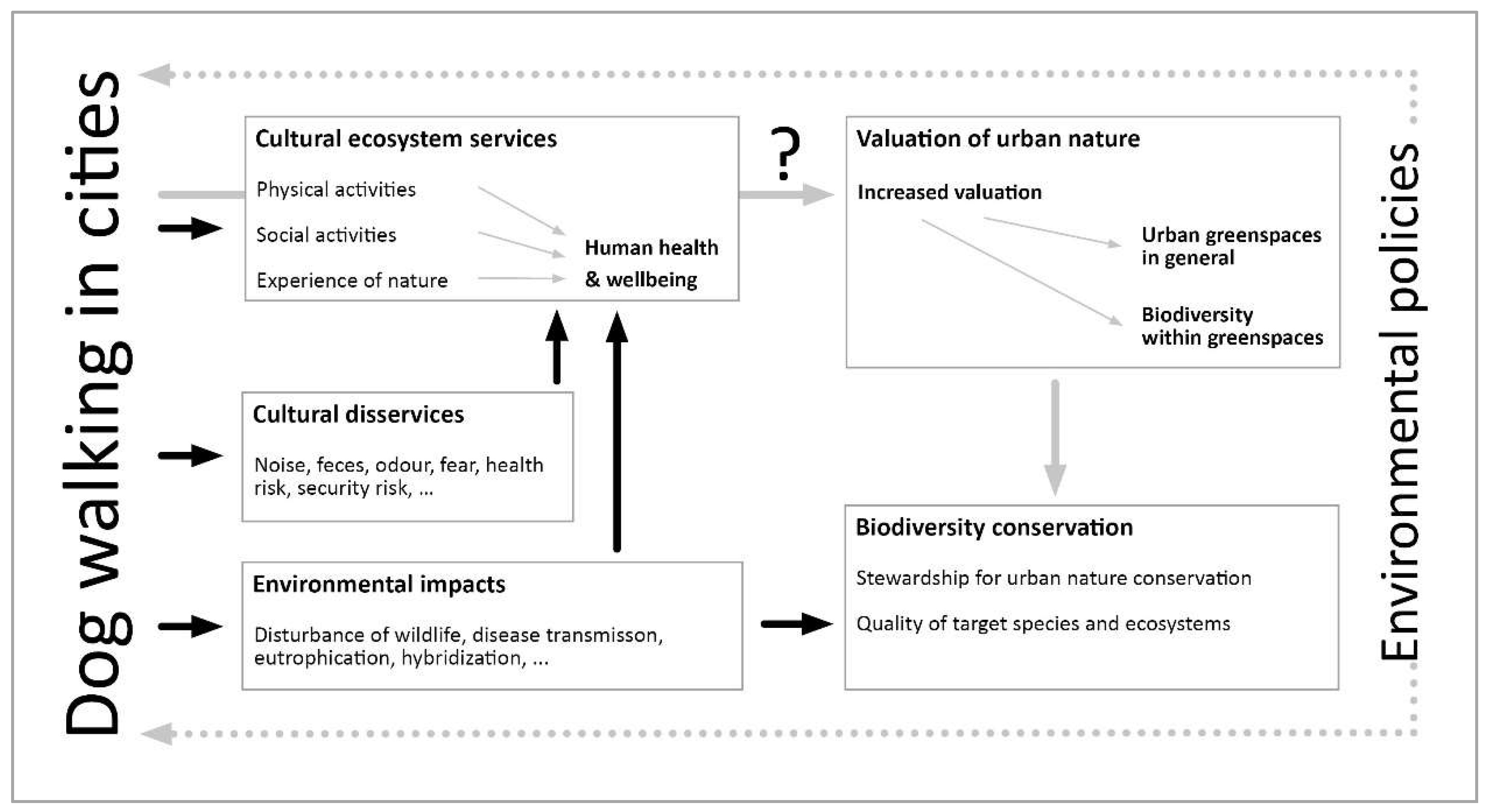 Sustainability | Free Full-Text | Dog Walkers' Views of Urban Biodiversity  across Five European Cities
