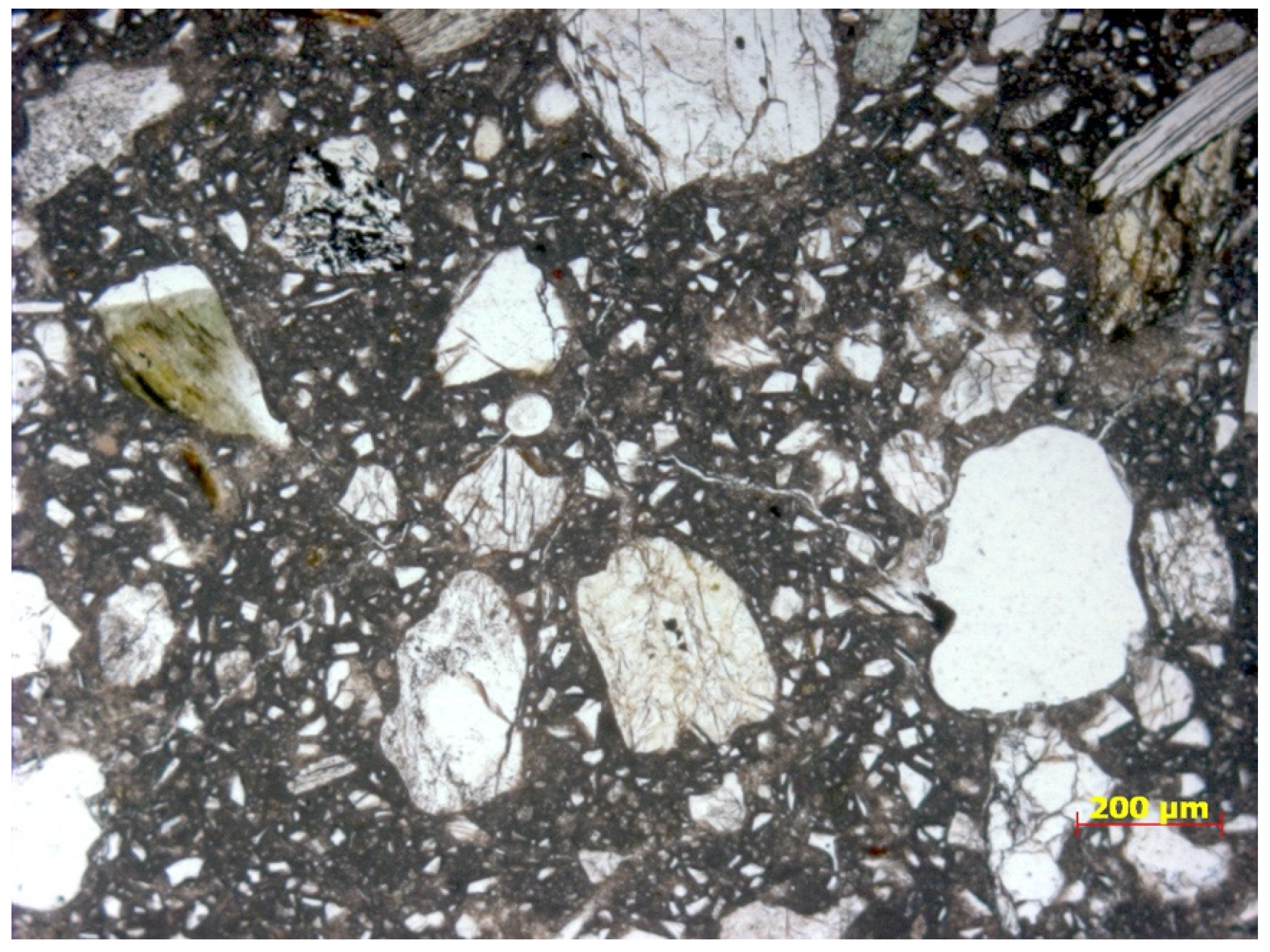 Sustainability 12 03561 g008