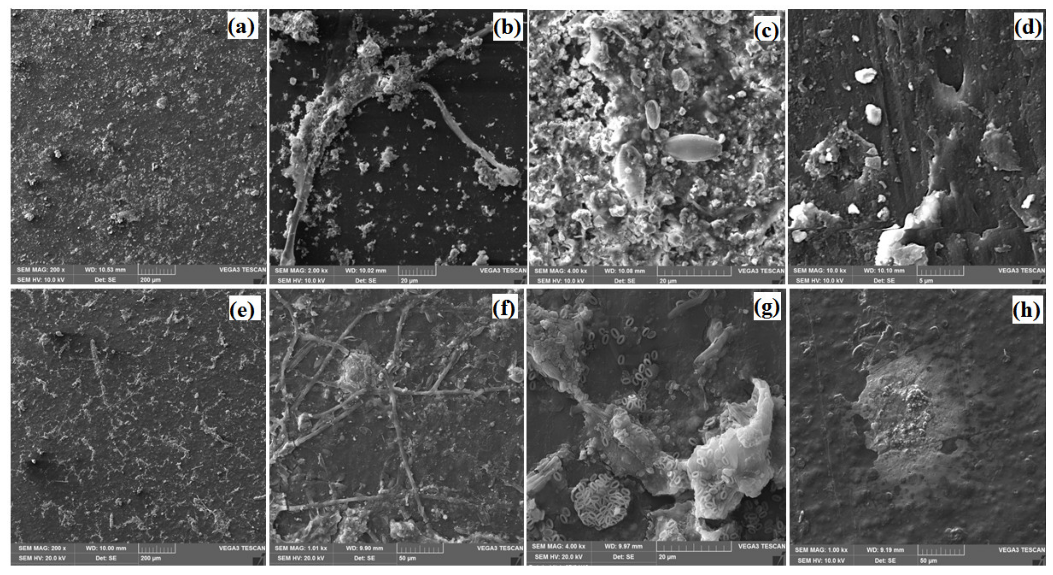 Sustainability 12 03624 g005 Sustainability 12 03624 g005