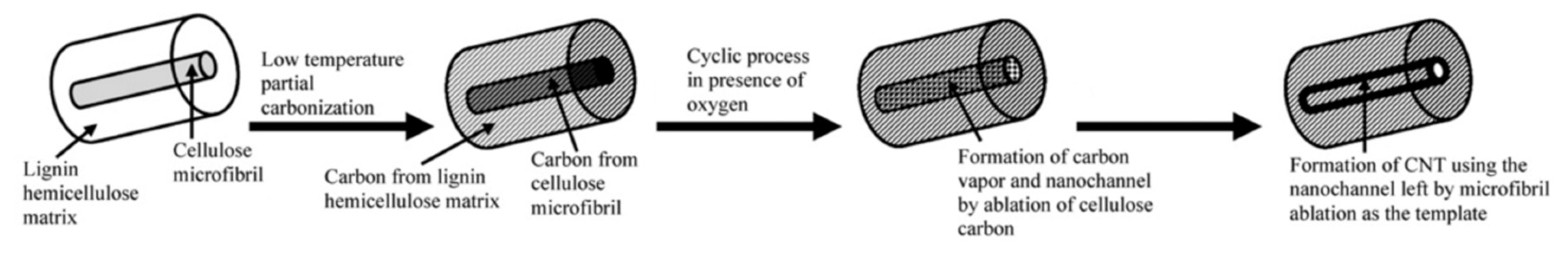 Sustainability 12 04115 g005