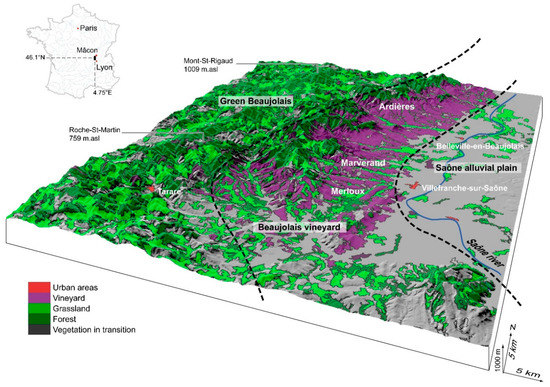 Sustainability Free Full Text Spatial Patterns Of Vineyard Abandonment And Related Land Use Transitions In Beaujolais France A Multiscale Approach Html