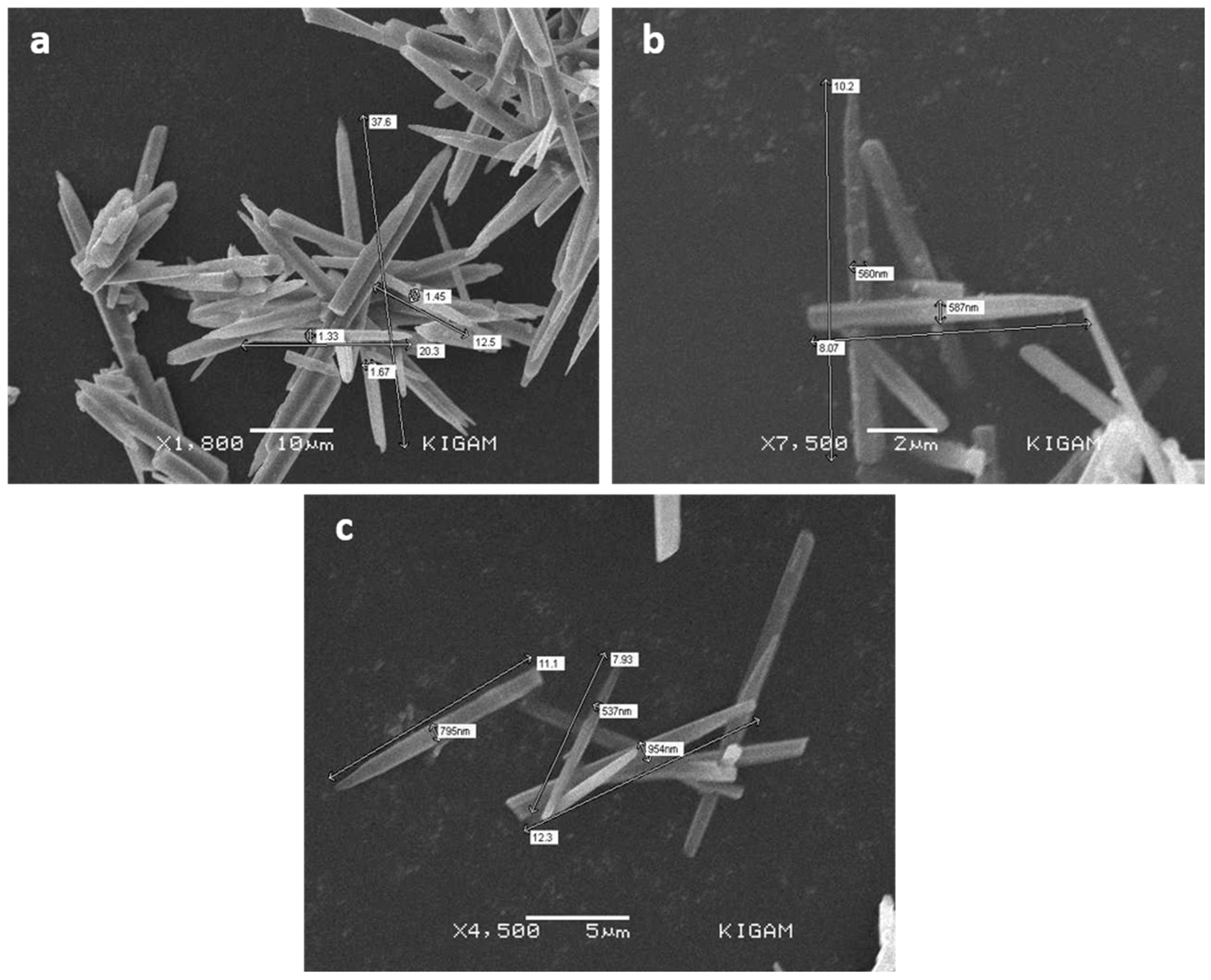 Sustainability 12 05062 g005