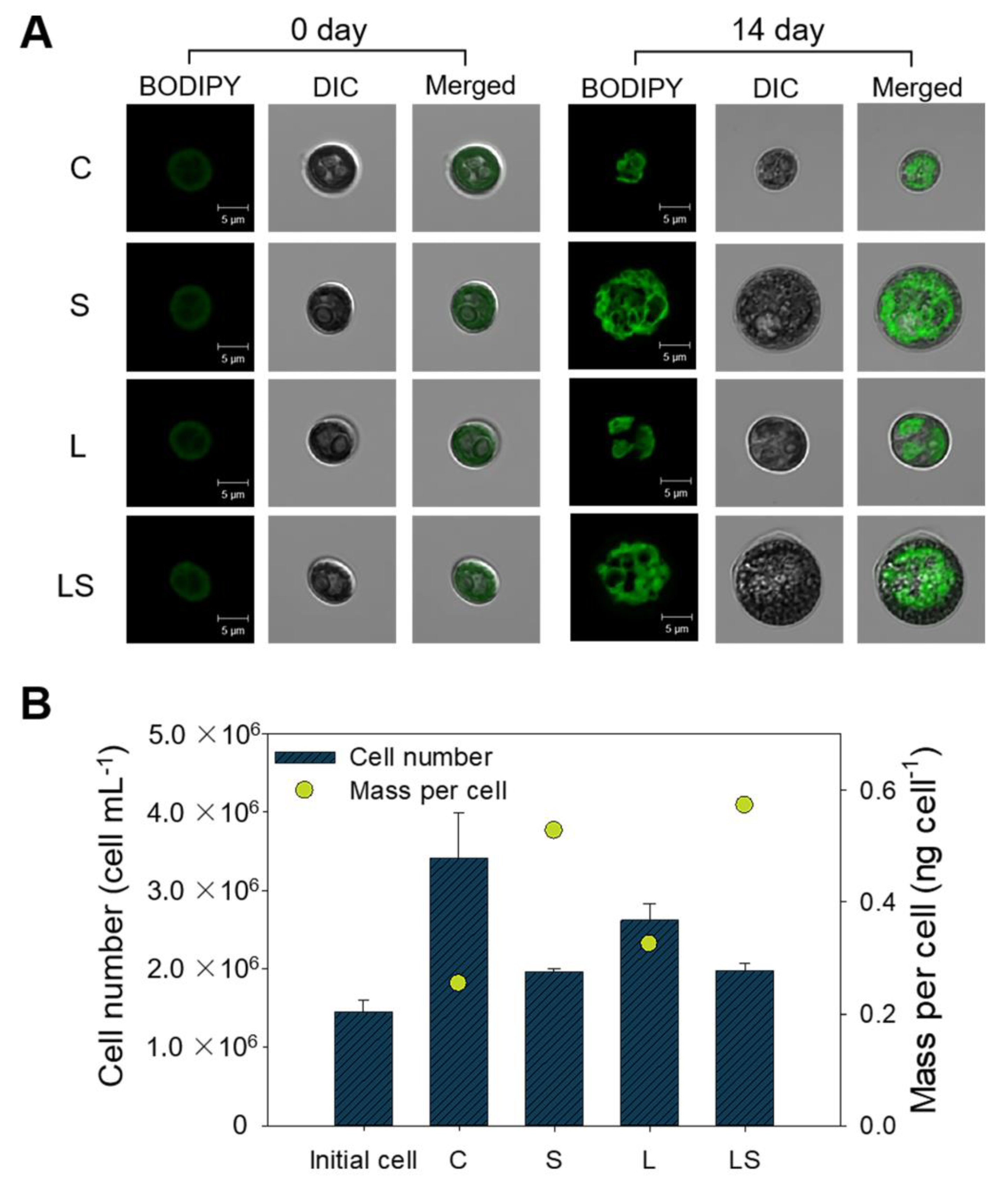 Sustainability 12 05445 g003