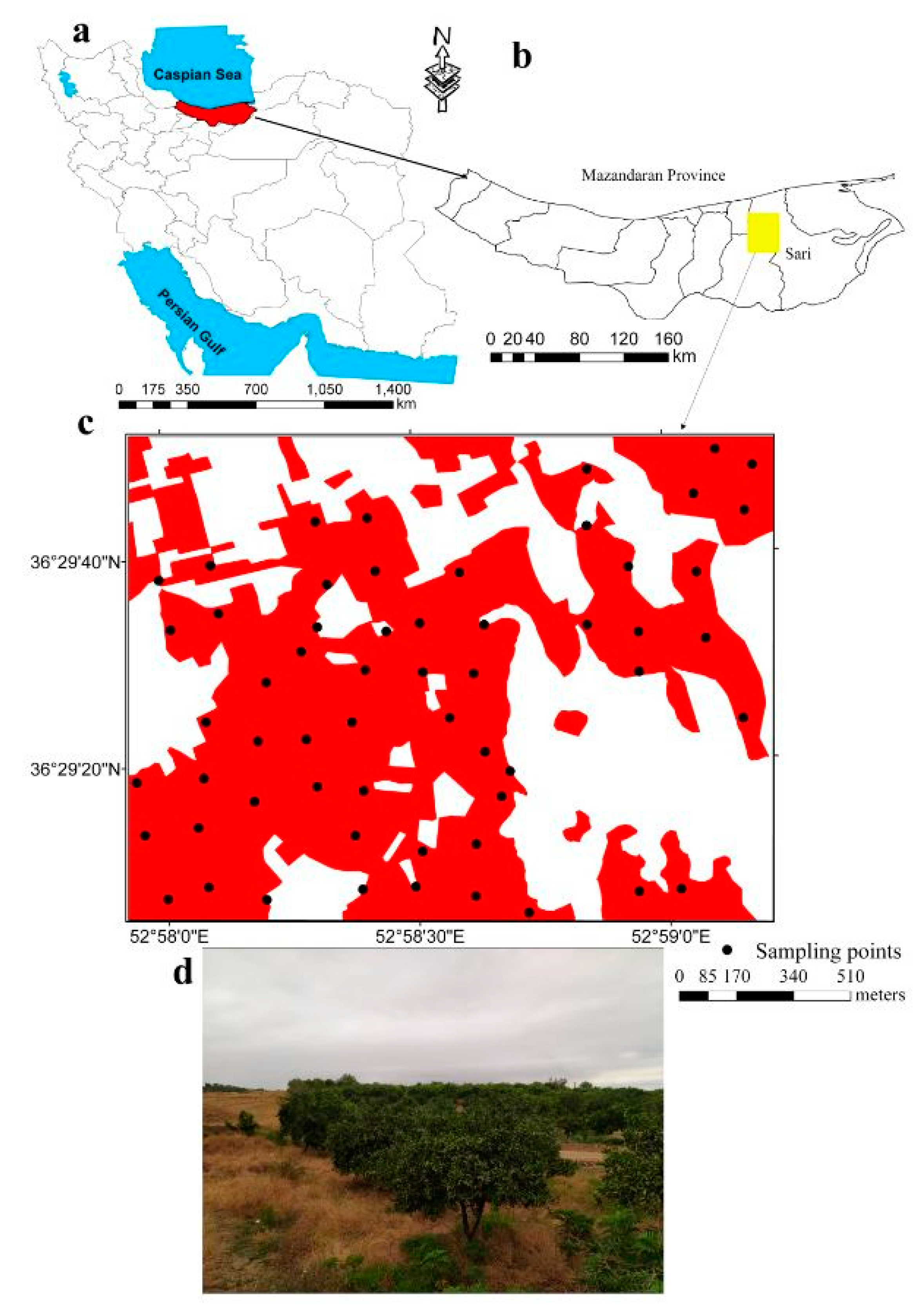Sustainability 12 05809 g001