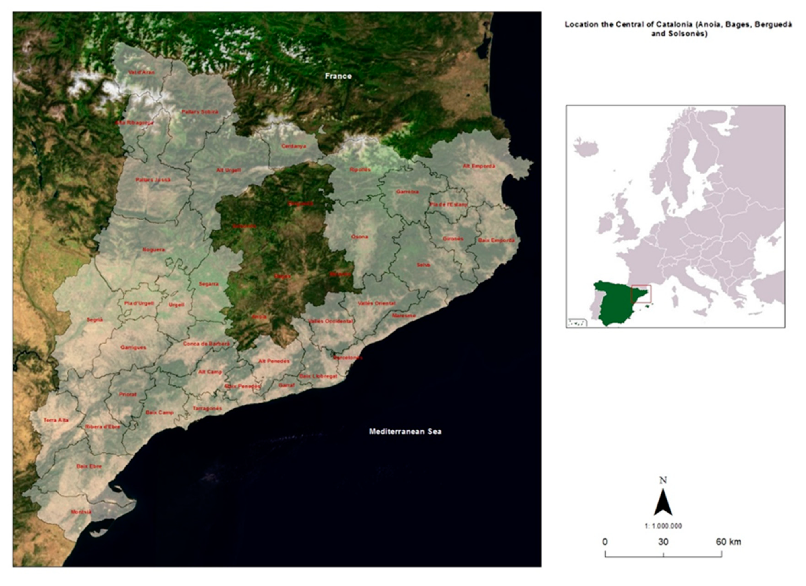 Sustainability | Free Full-Text | After the Wildfires: The Processes of  Social Learning of Forest Owners' Associations in Central Catalonia, Spain  | HTML