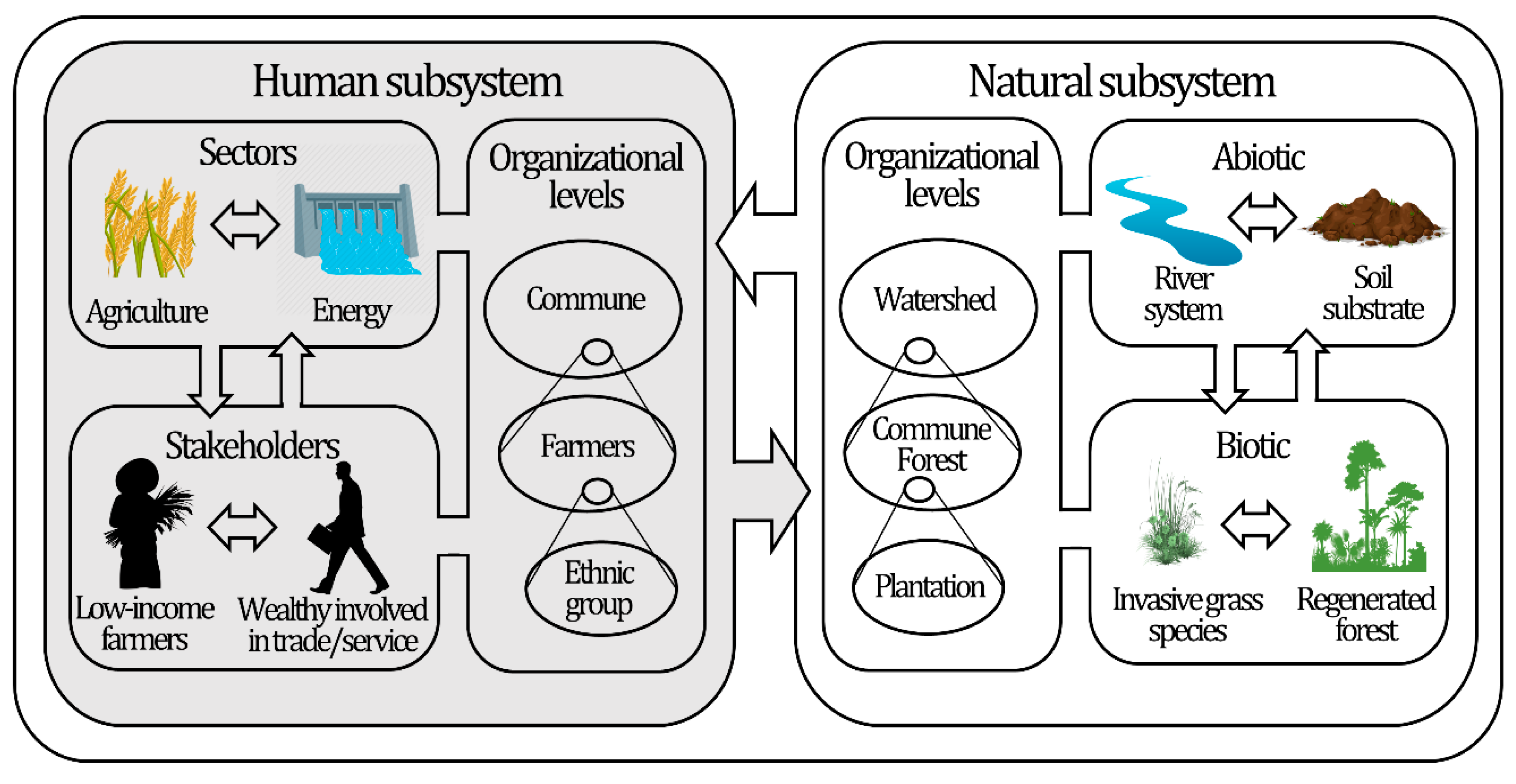 Natural systems. Humanities and natural Sciences. Subsystem. Humanities vs natural Sciences. Humanities and natural Sciences дўпў.