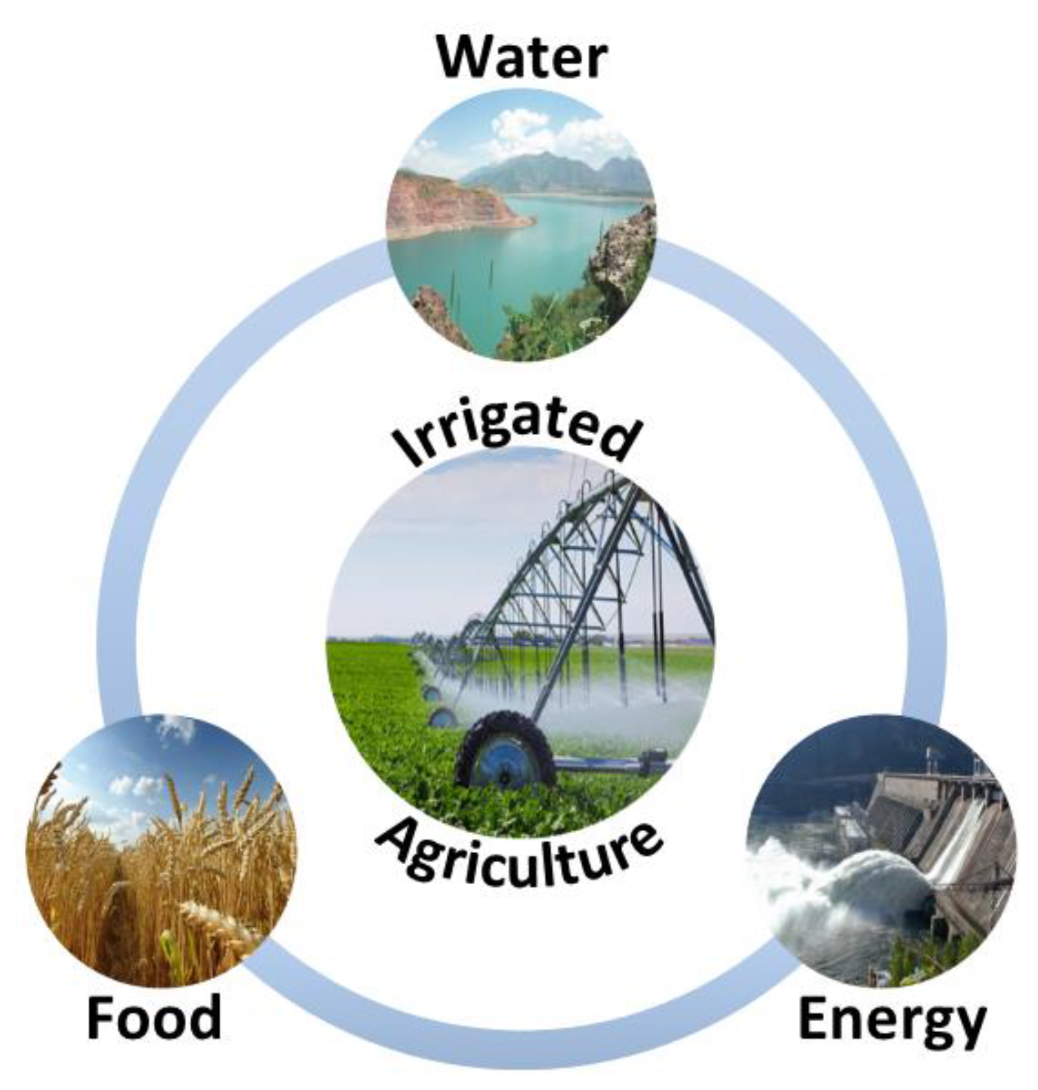The water-energy-food nexus: What the Brazilian research has to