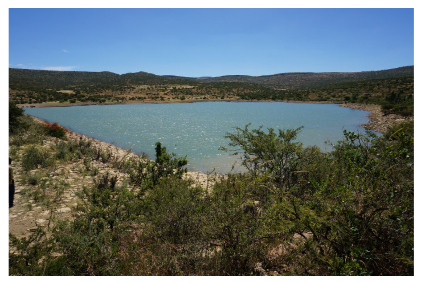 Sustainability 12 06388 g002