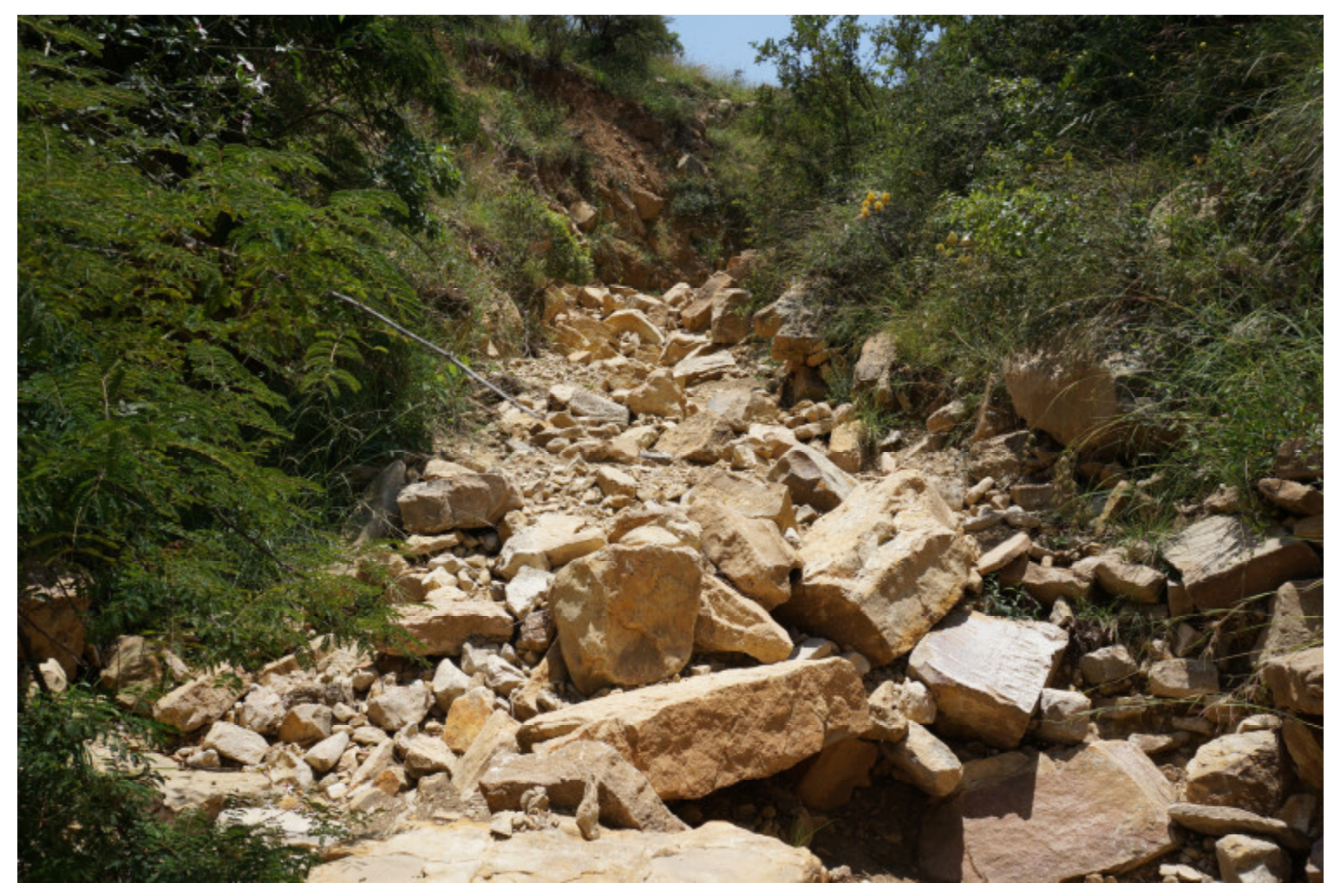 Sustainability 12 06388 g005