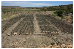 Sustainability 12 06388 g009