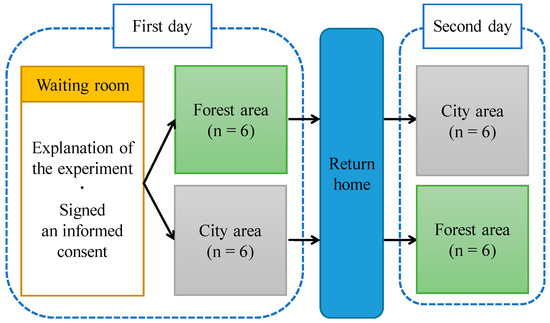 Sustainability | Free Full-Text | Effect of Viewing Real Forest